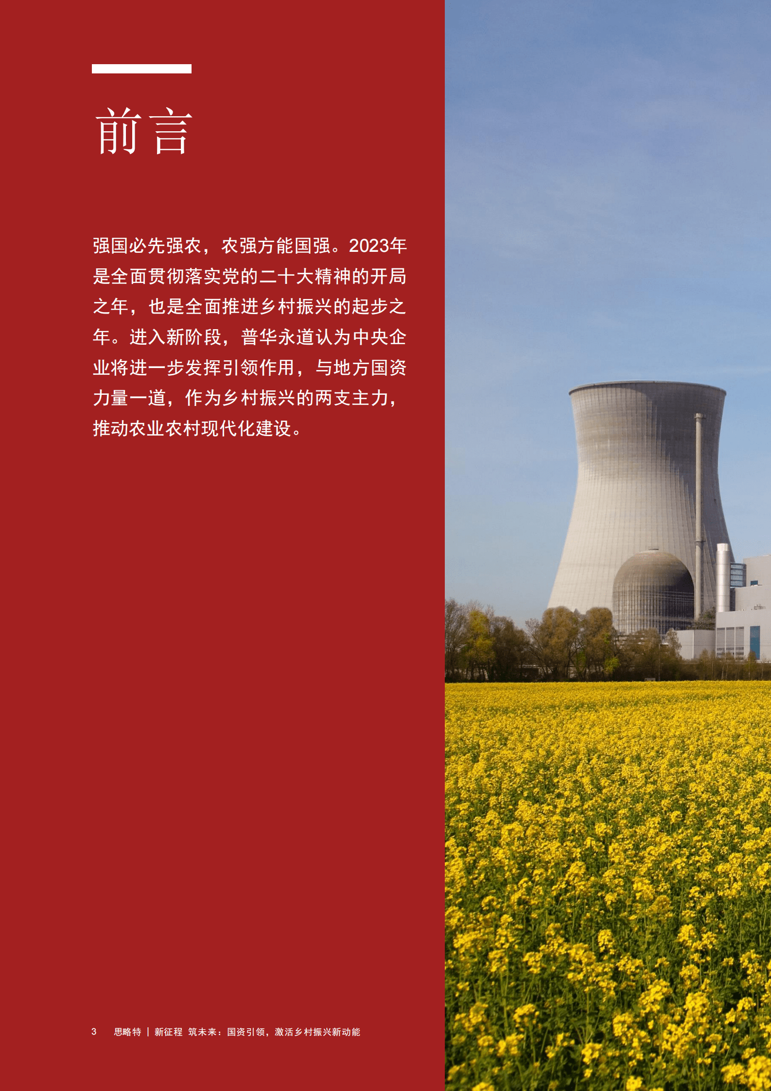 思略特：新征程 筑未来：国资引领，激活乡村振兴新动能 第4页