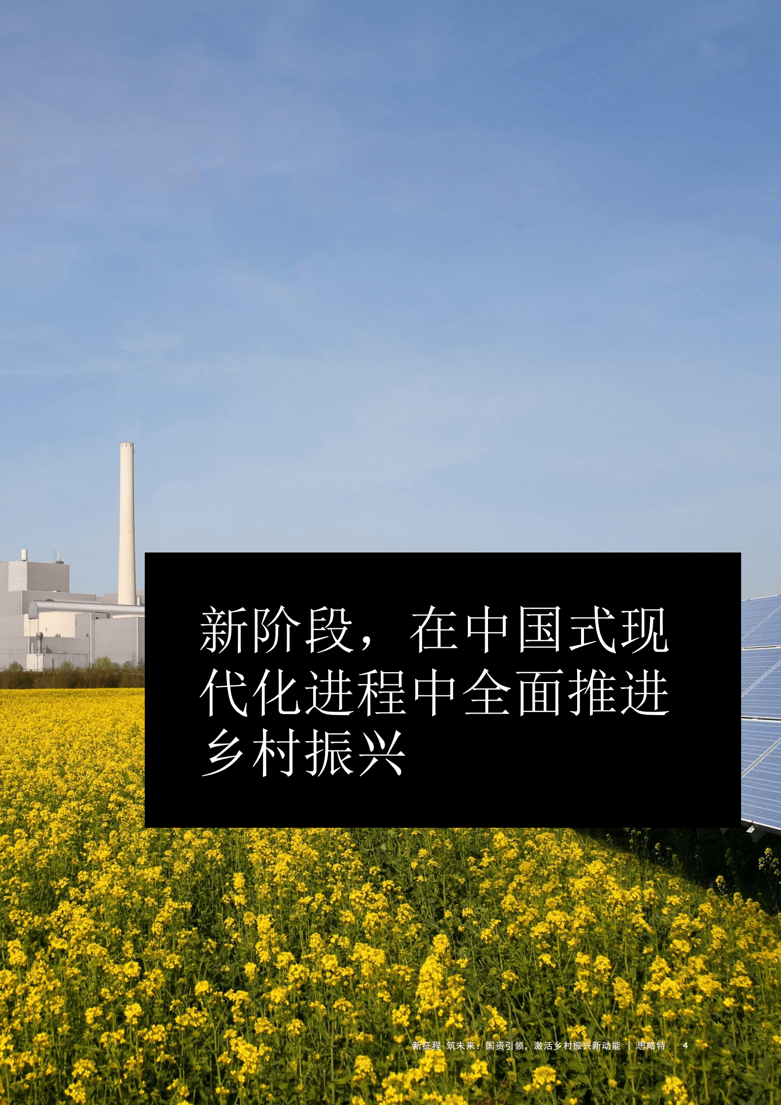 思略特：新征程 筑未来：国资引领，激活乡村振兴新动能 第5页