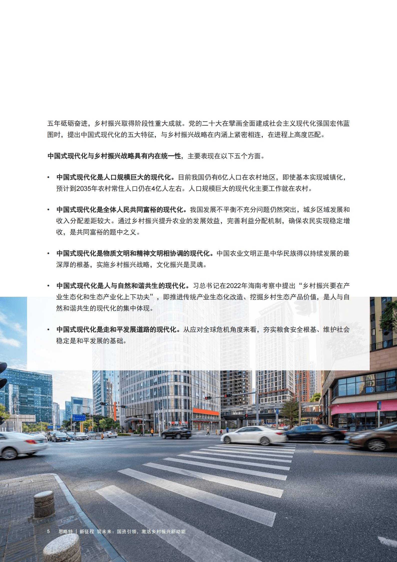 思略特：新征程 筑未来：国资引领，激活乡村振兴新动能 第6页