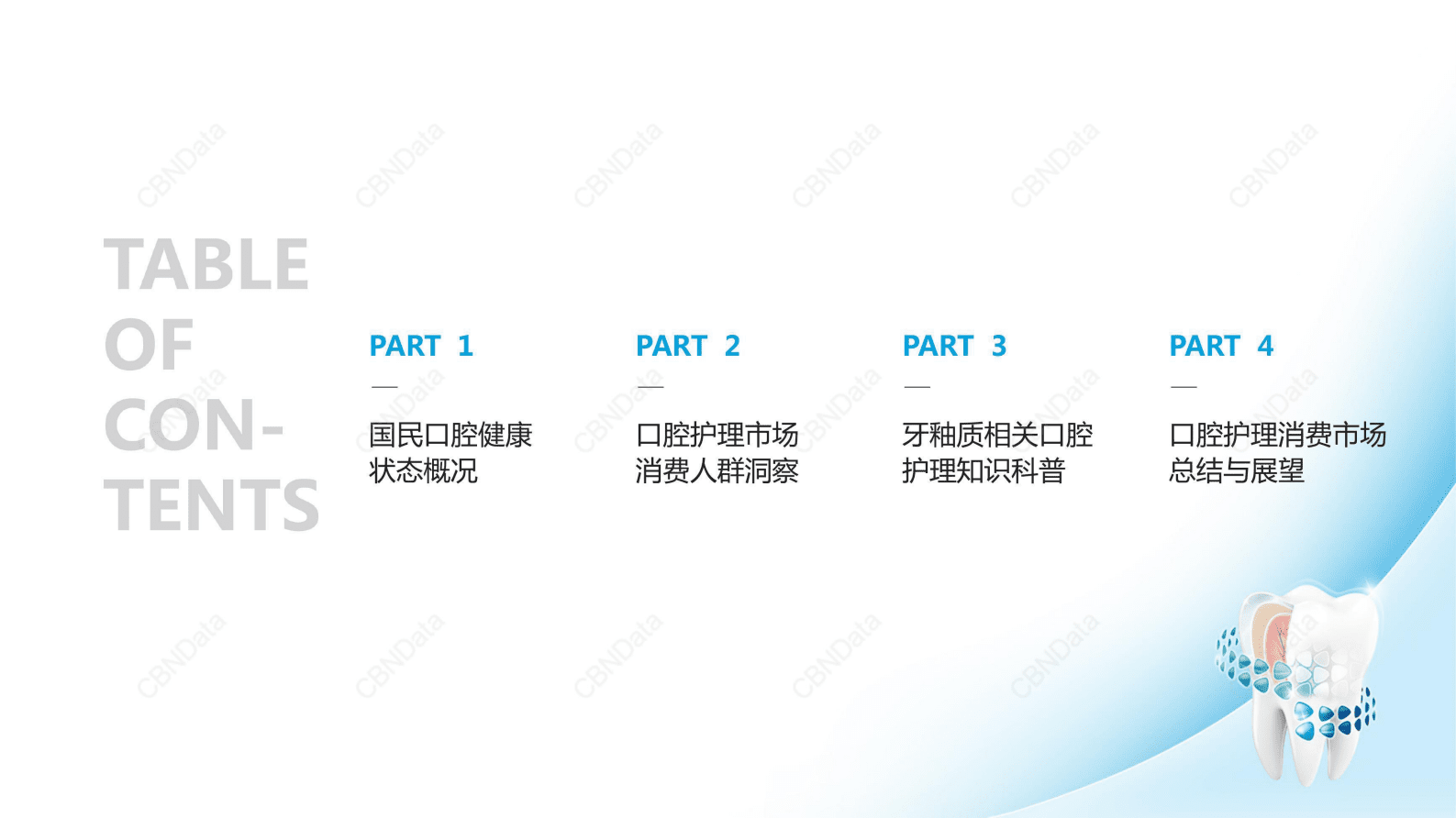 CBNData：2023口腔护理消费者洞察报告 第2页