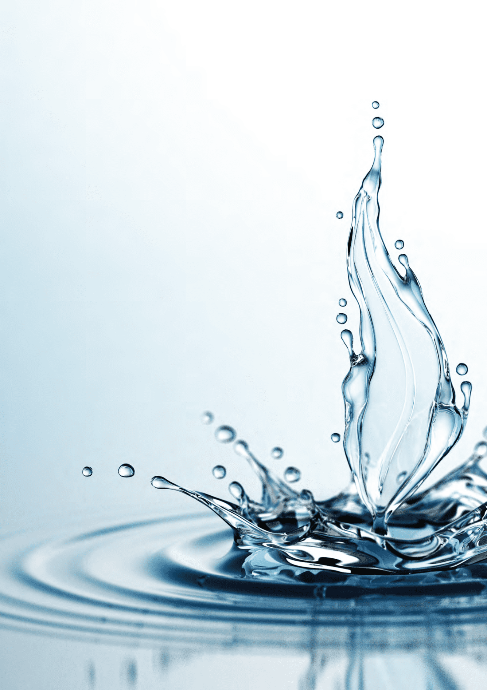 麦肯锡：金融机构敏捷转型白皮书：从&ldquo;形似&rdquo;到&ldquo;神似&rdquo;&mdash;&mdash;敏捷转型六大成功要素 第4页