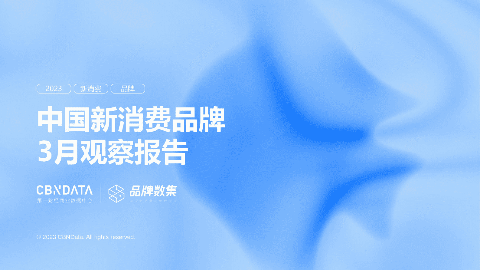 CBNData：2023年3月中国新消费品牌观察报告 第1页