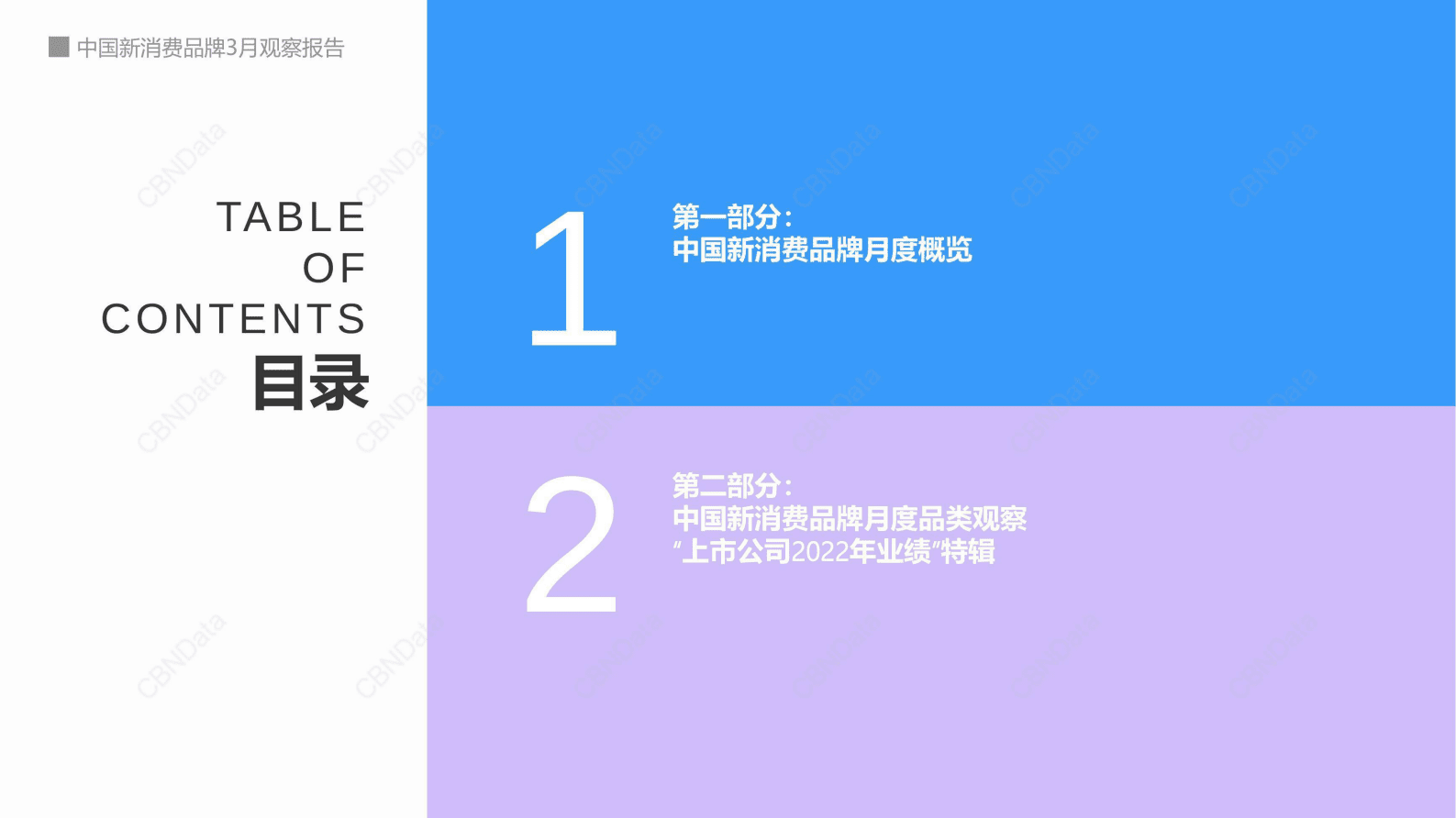 CBNData：2023年3月中国新消费品牌观察报告 第2页