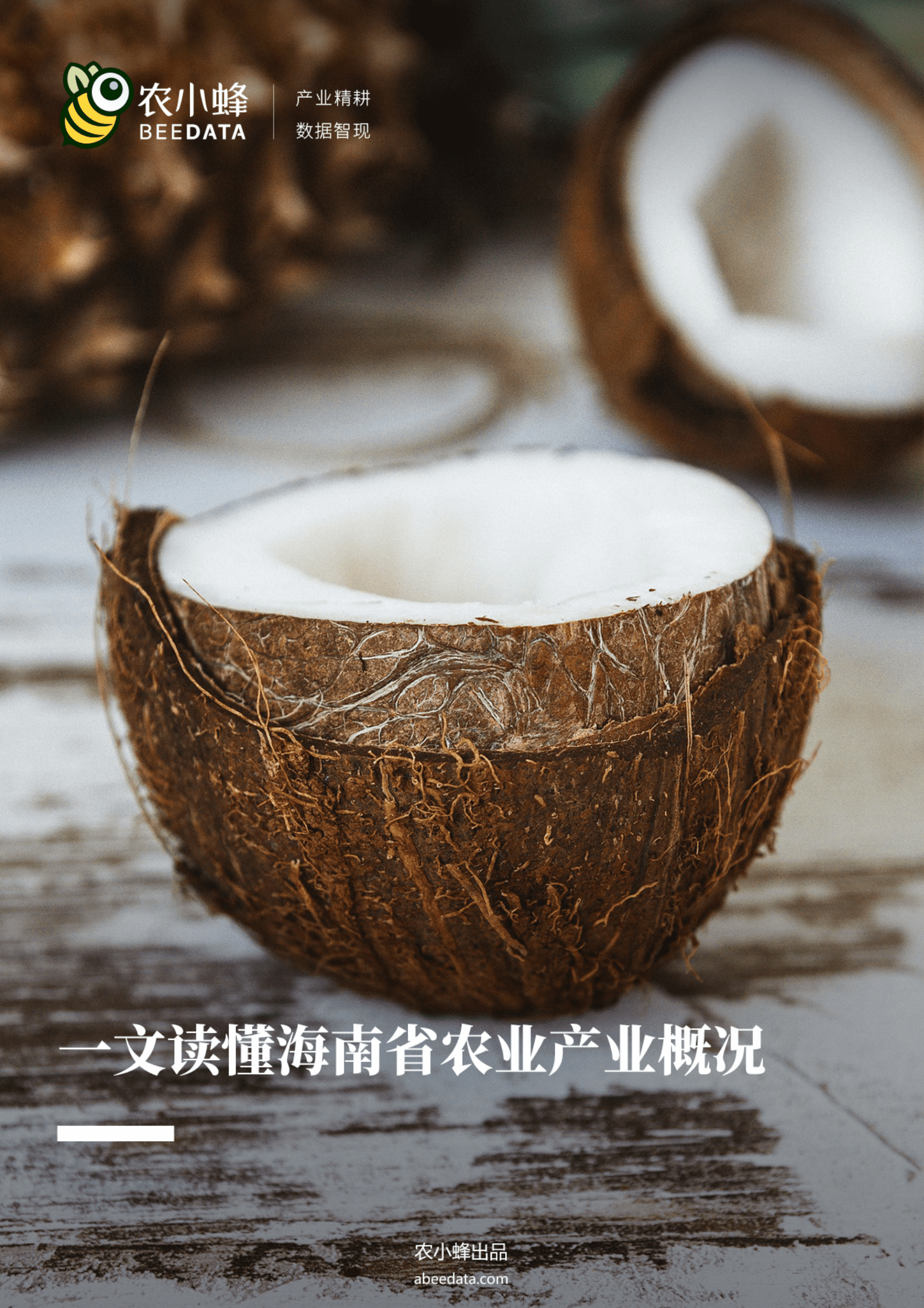农小蜂：一文读懂海南省农业产业概况 第1页