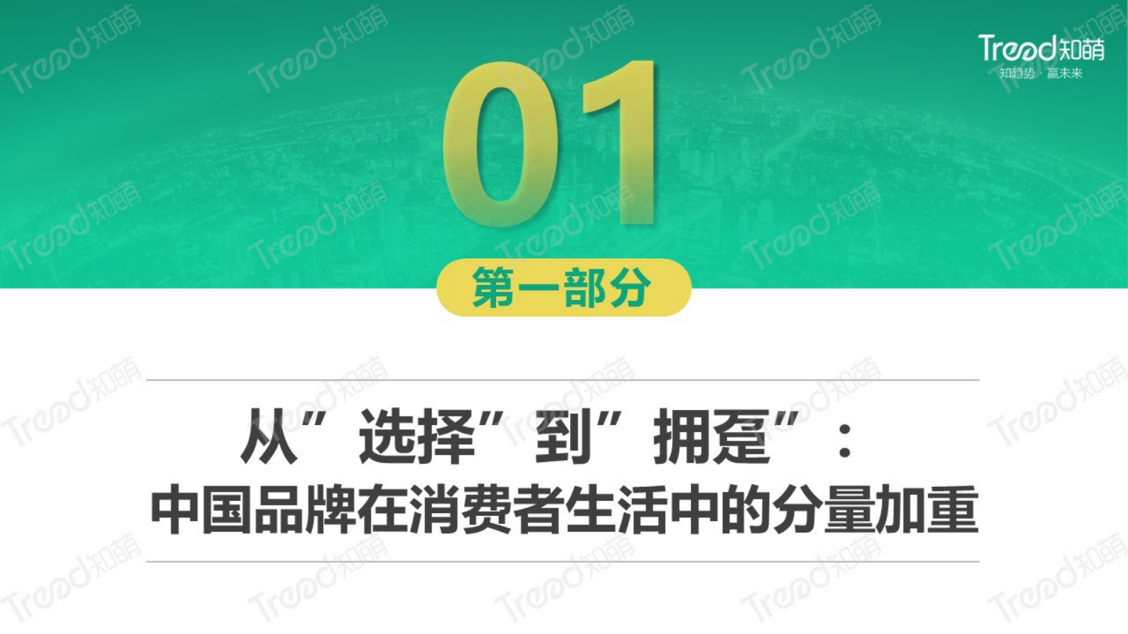 知萌：2023中国品牌消费趋势洞察报告 第4页