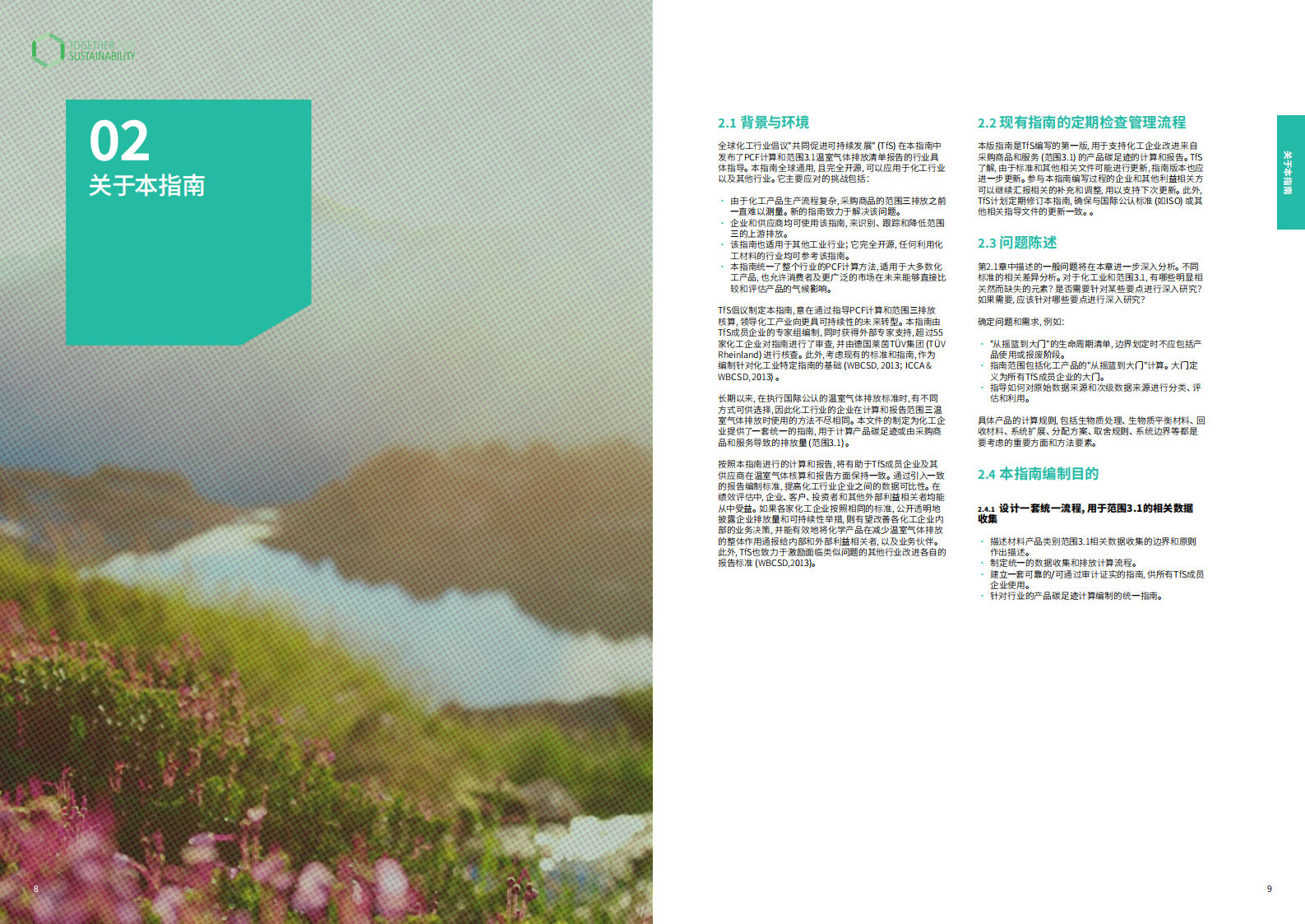 TfS：化工行业产品碳足迹指南 第5页