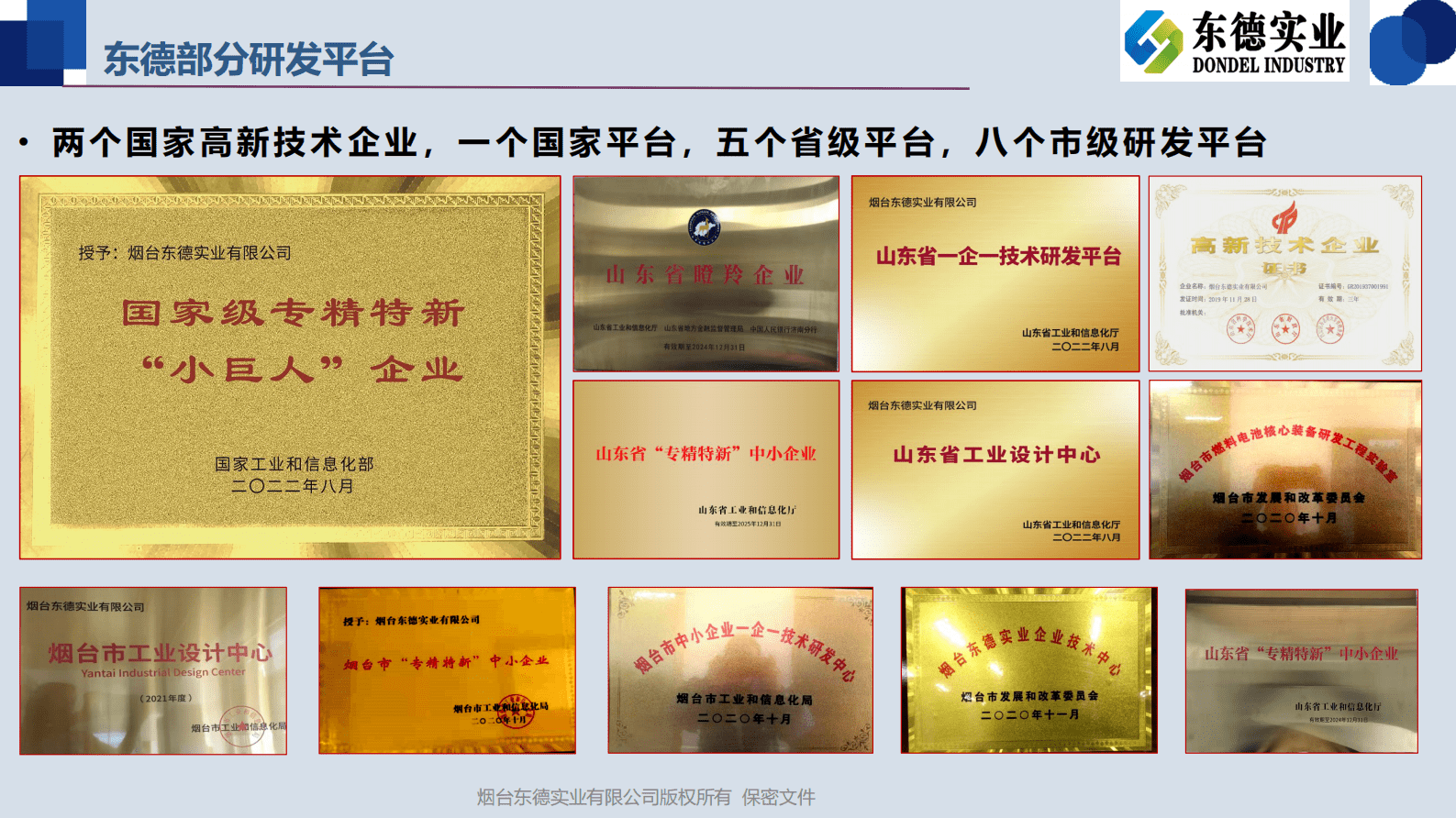 东德实业王志兴：氢能核心装备国产化发展势态 第4页