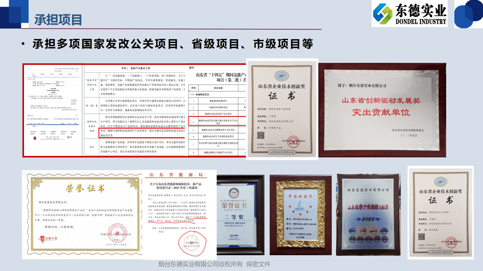 东德实业王志兴：氢能核心装备国产化发展势态 第5页