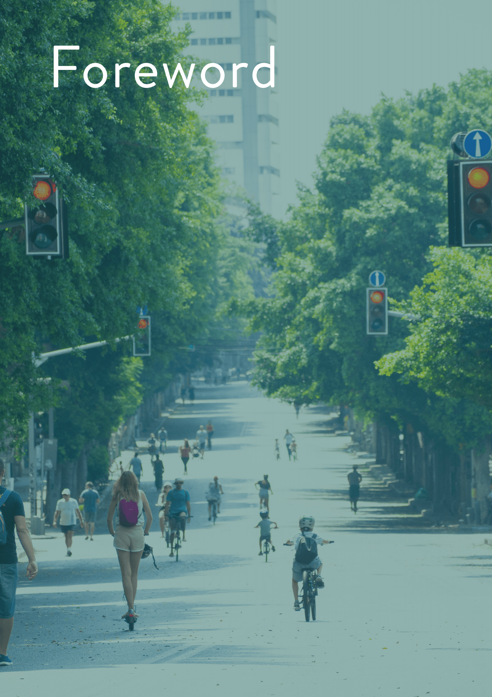 米兰理工大学：可持续城市交通的未来【英文版】 第4页