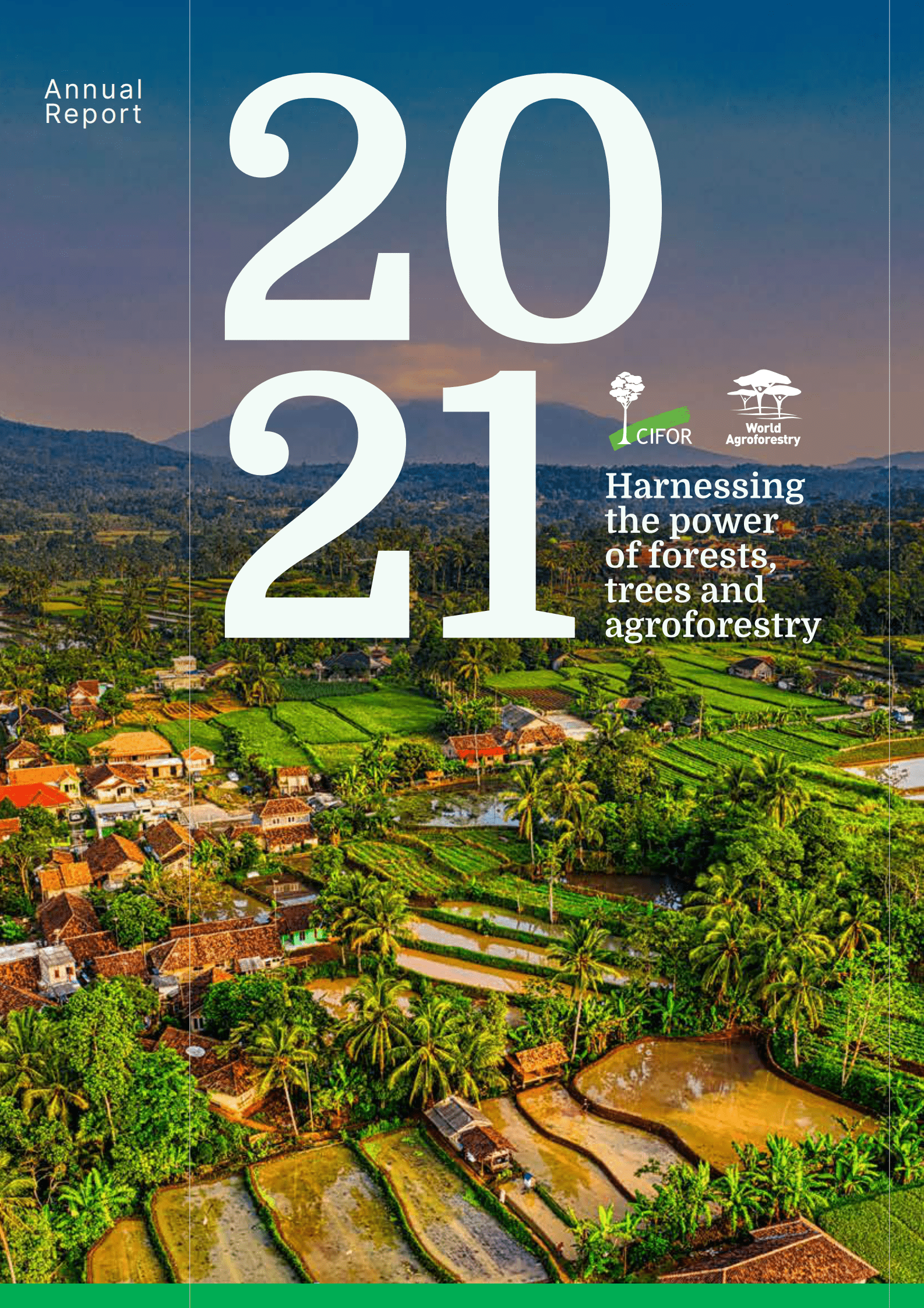CIFOR-ICRAF：利用森林、树木和农业林业的力量【英文版】 第1页