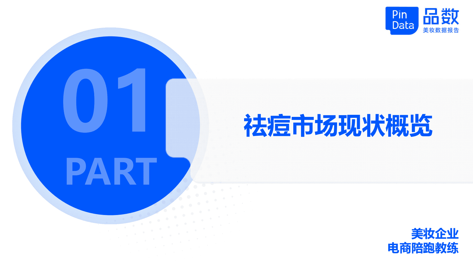 品数：2023年祛痘白皮书 第4页