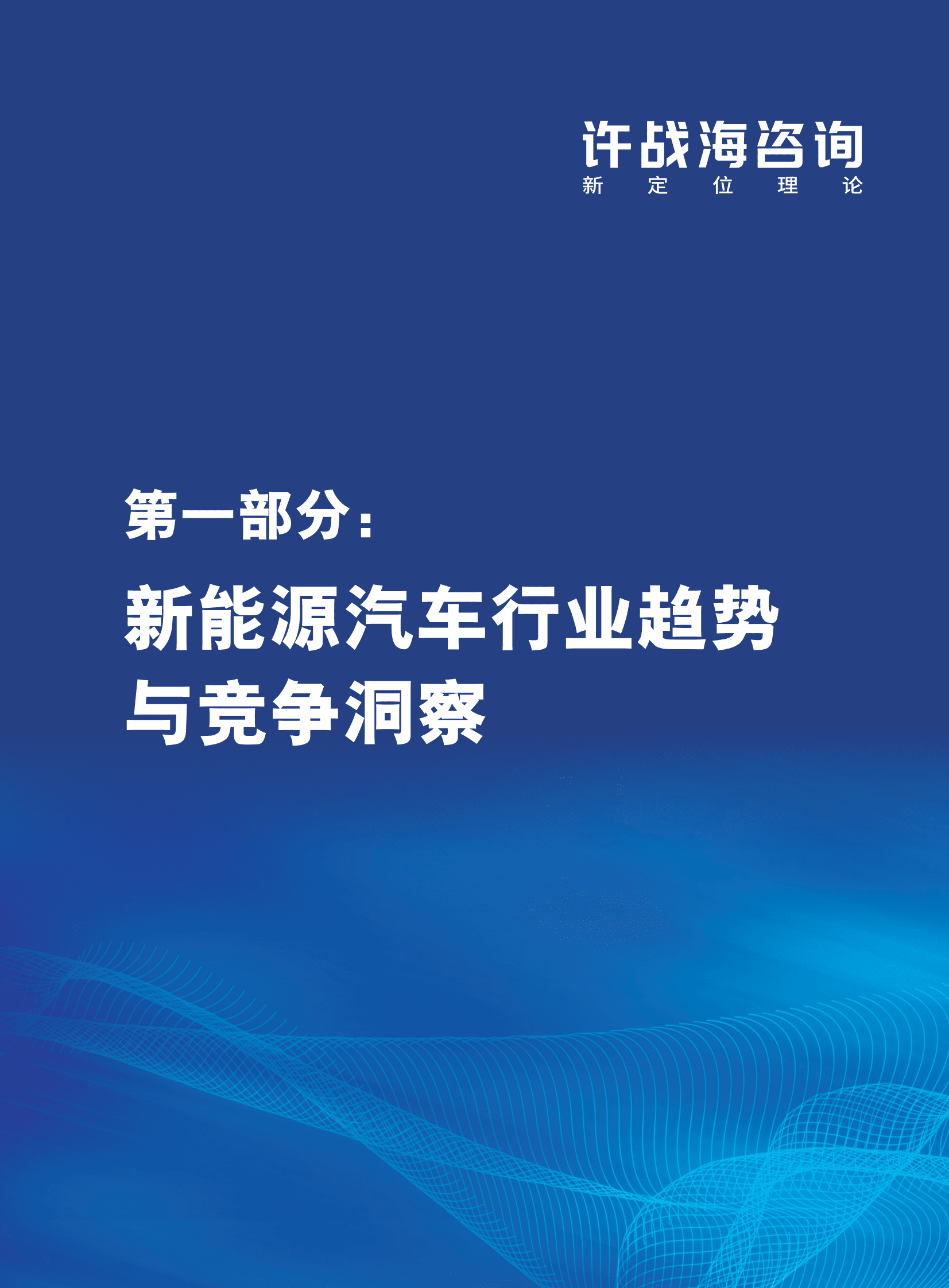 许战海咨询：2023中国汽车行业新能源转型战略白皮书 第5页