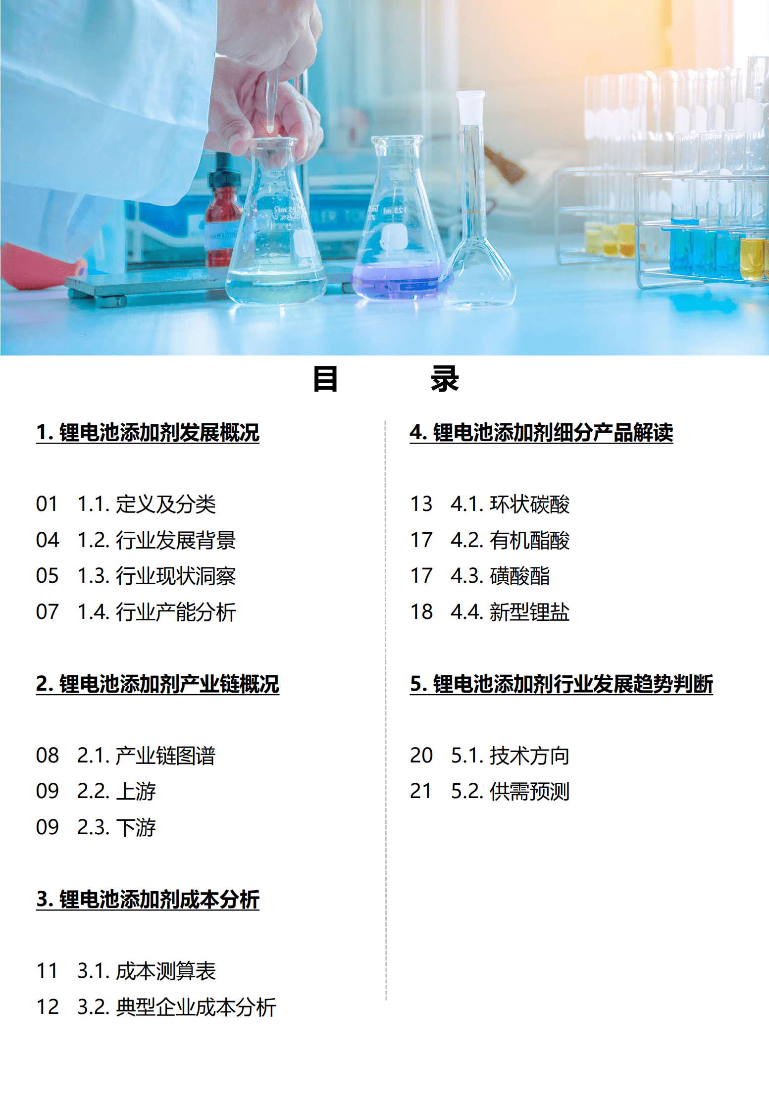 中国化学与物理电源行业协会：中国锂电池添加剂行业发展研究白皮书（2022） 第2页