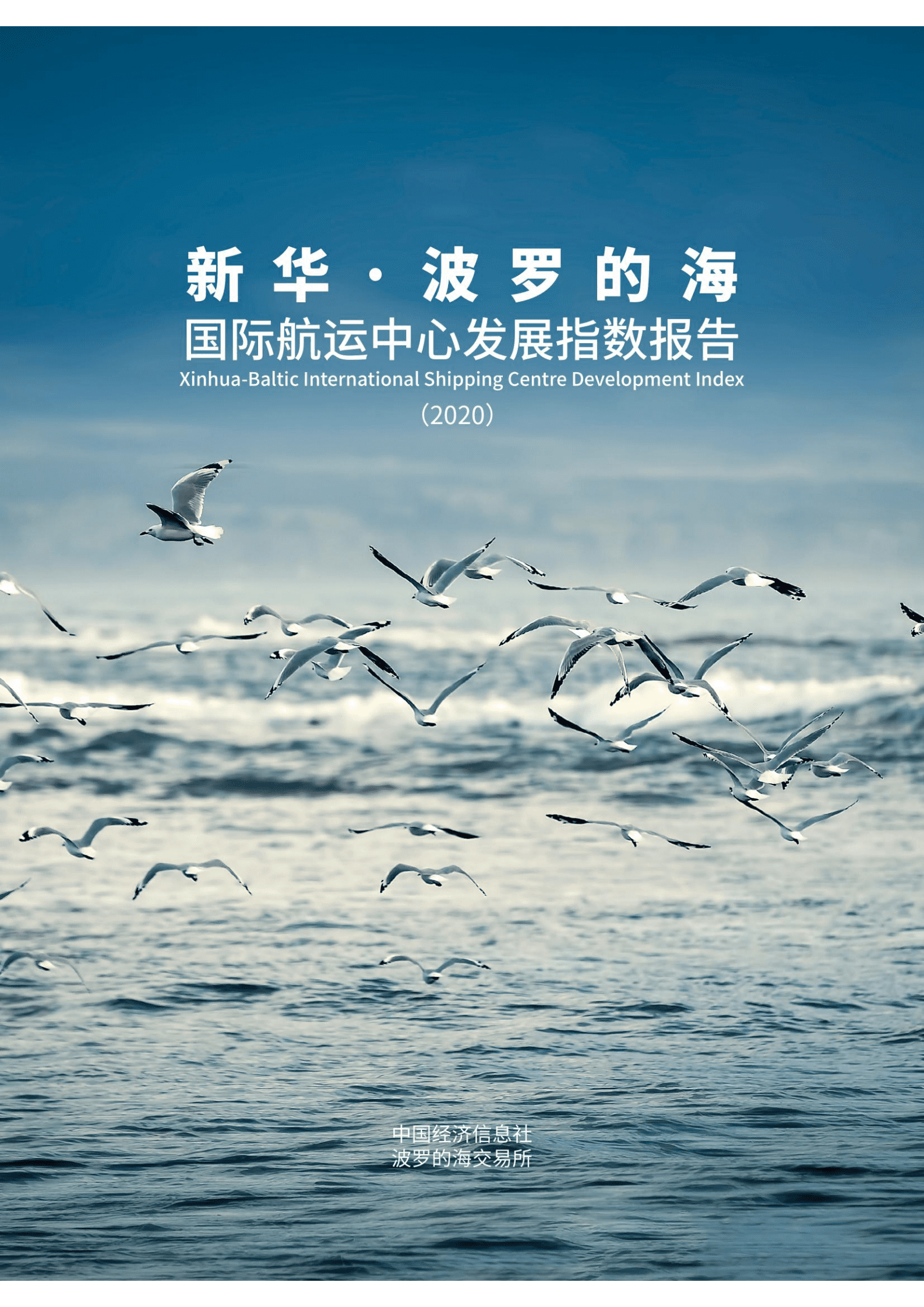 中国经济信息社：2020新华&middot;波罗的海国际航运中心发展指数报告 第2页