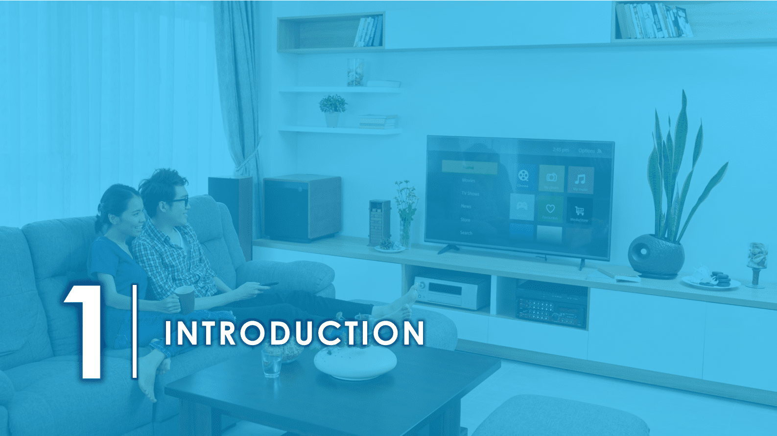 Hub：2023年美国联网家庭报告【英文版】 第2页