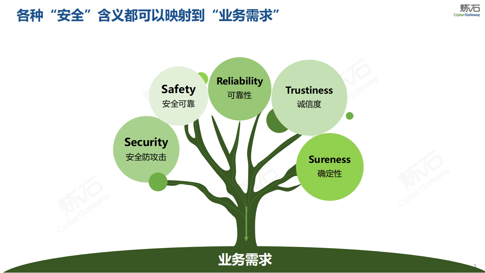 炼石：免改造数据安全的实践与思考 第3页