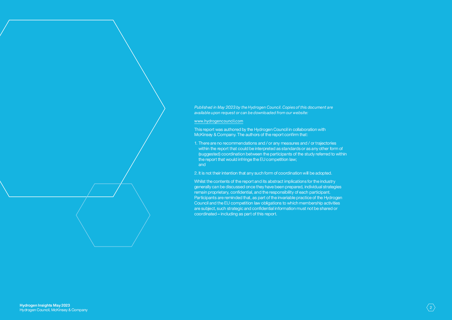 氢能洞察2023（英） 第2页