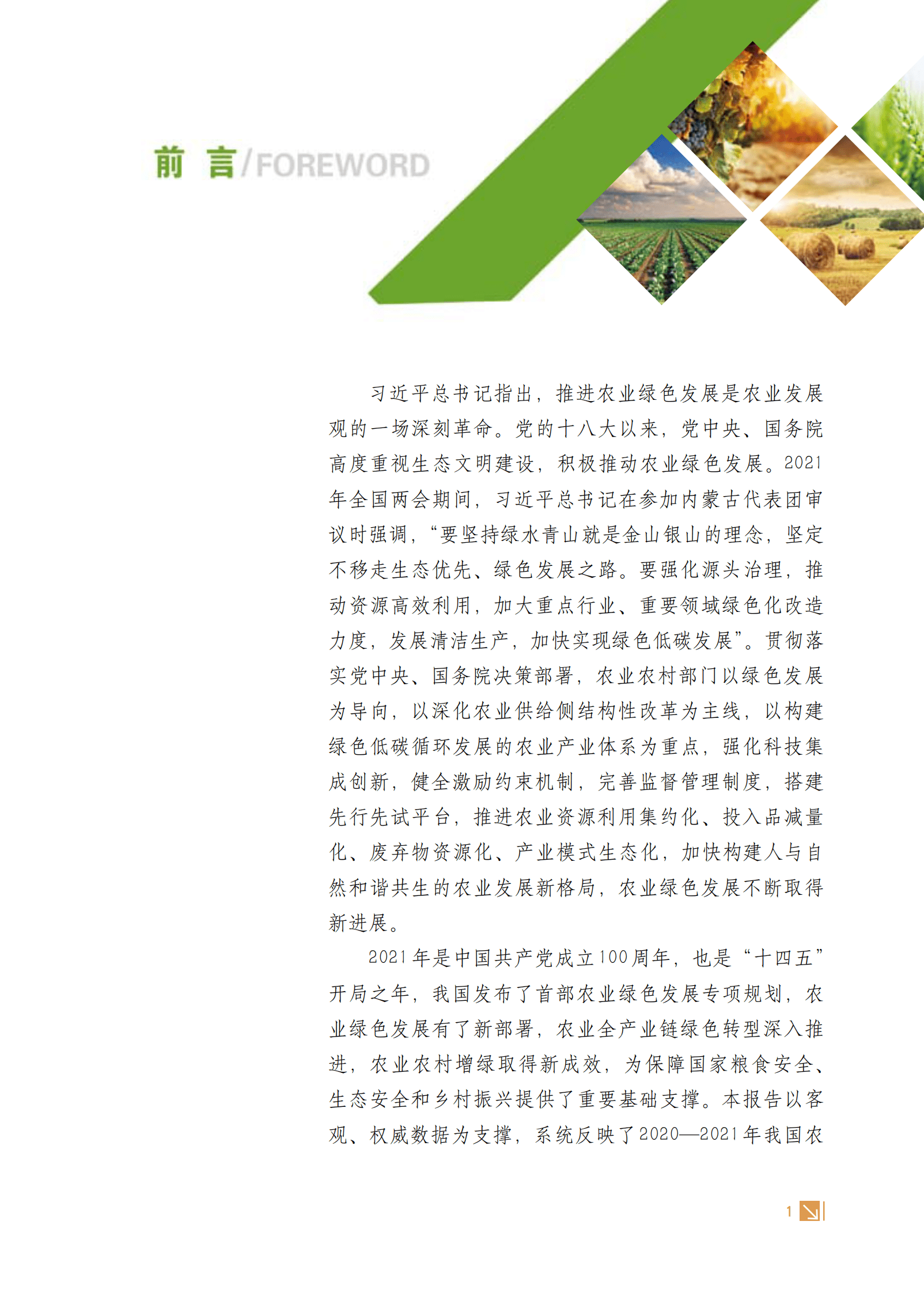 中国农业绿色发展报告2021 第3页