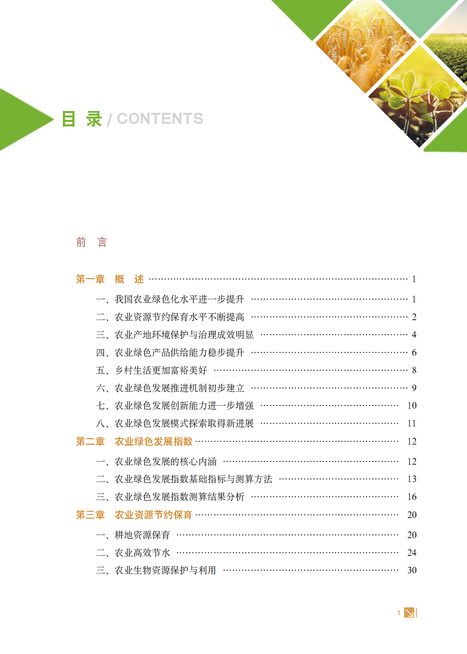 中国农业绿色发展报告2021 第5页