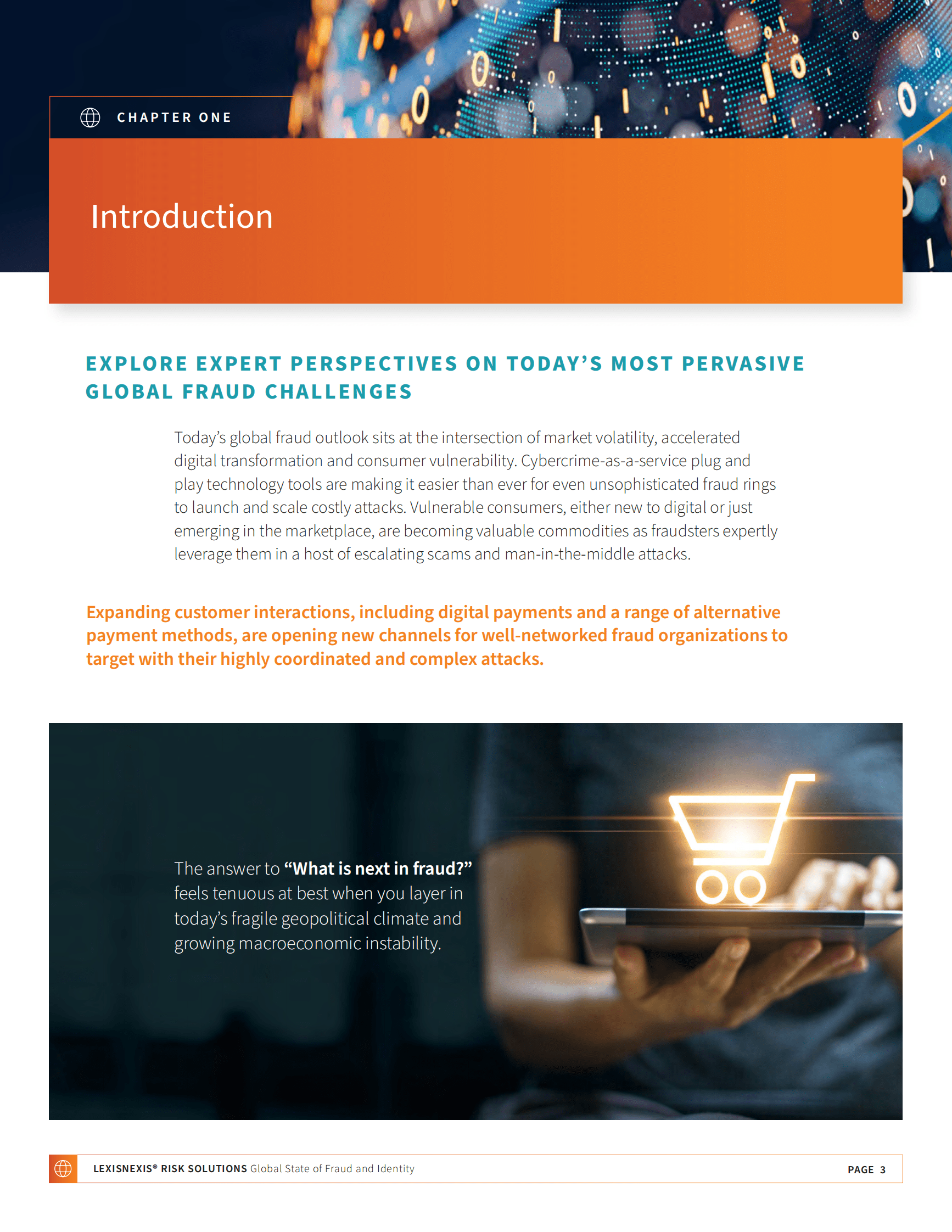 LexisNexis：2022全球欺诈和身份识别报告（英） 第3页