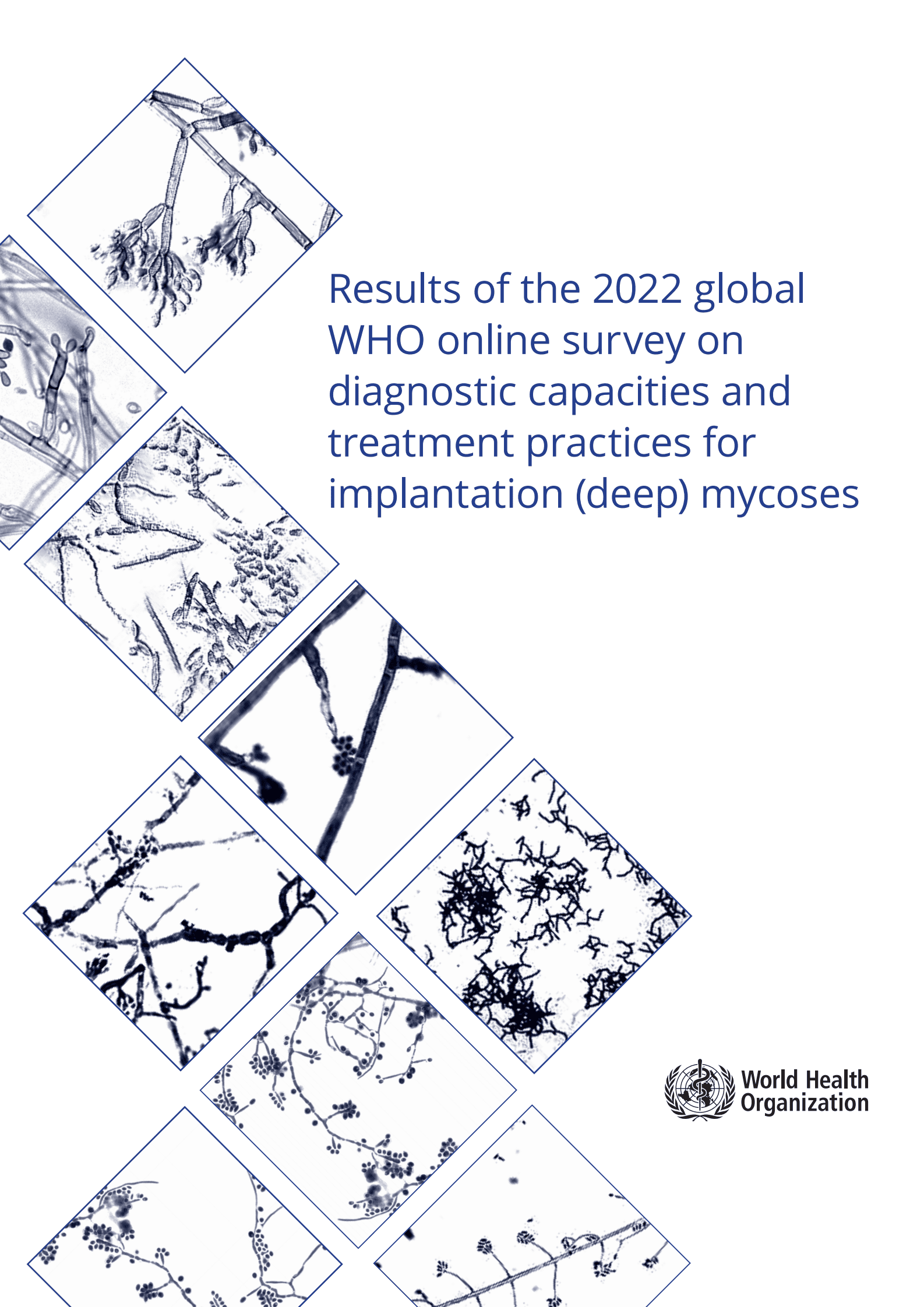 WHO：2022年关于植入（深层）真菌病诊断能力和治疗实践在线调查结果 第1页