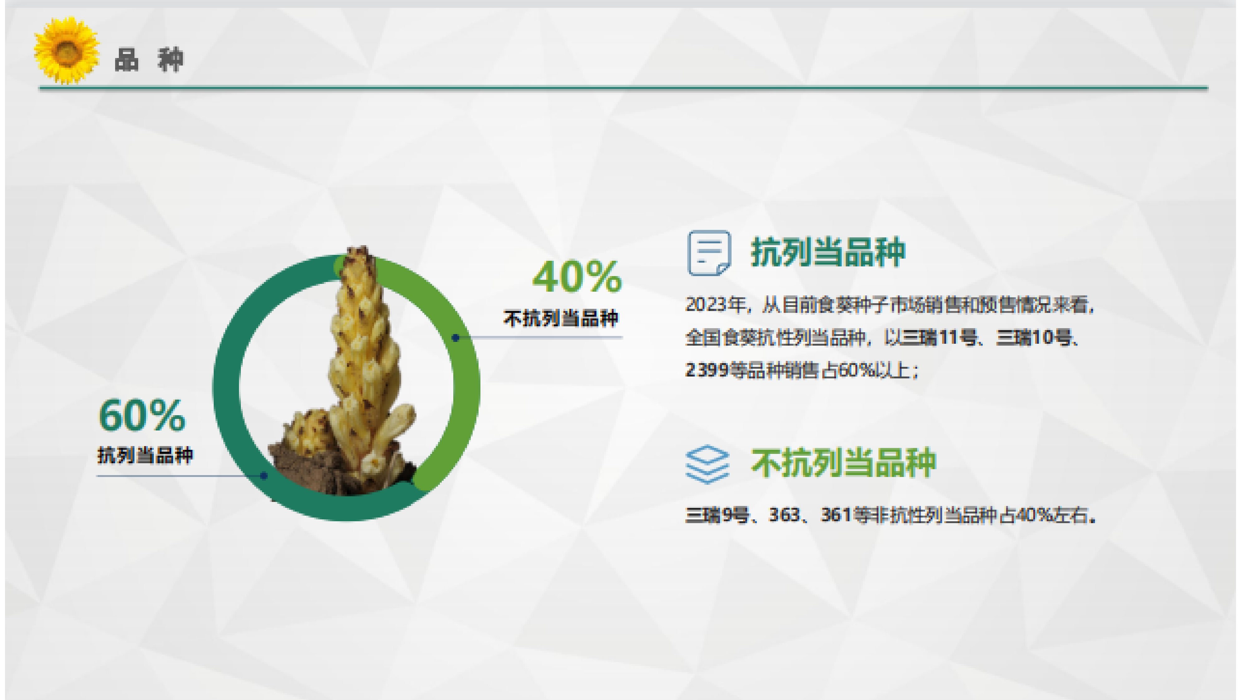 三瑞农科：2023年中国葵花产业行业报告 第4页