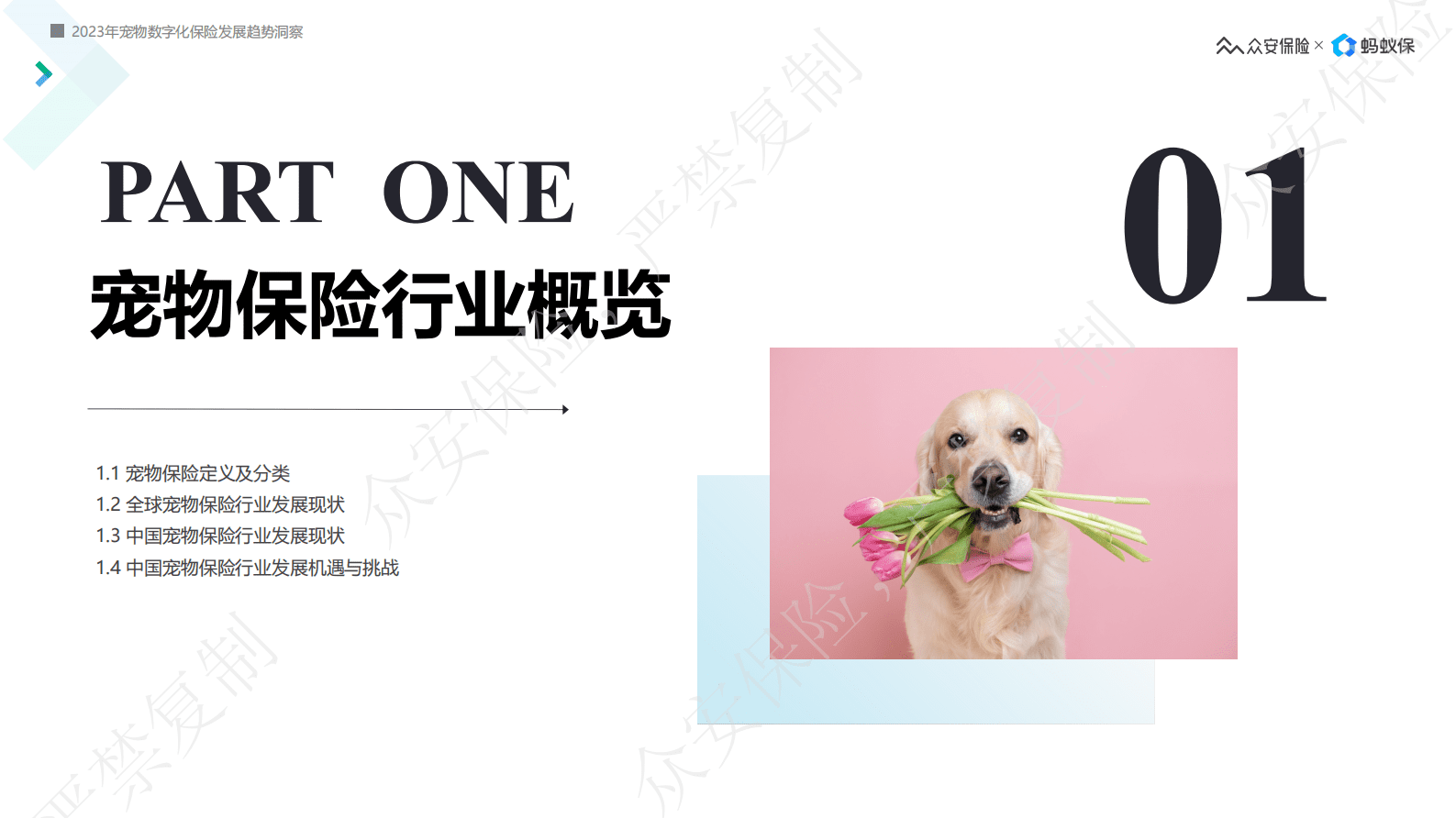 2023宠物数字化保险发展趋势洞察白皮书-众安保险&蚂蚁保 第3页