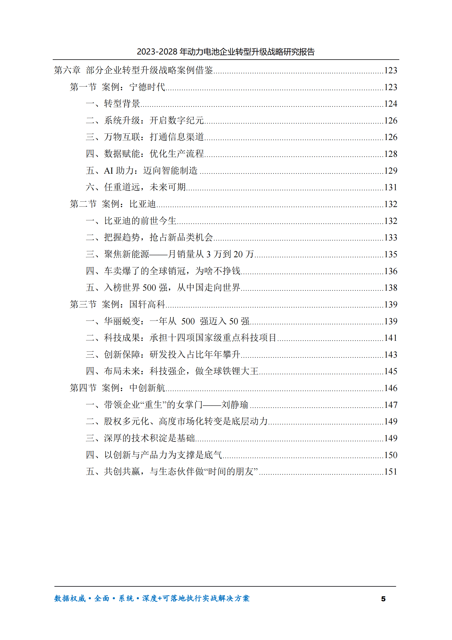 2023-2028年动力电池企业转型升级战略研究报告 第5页