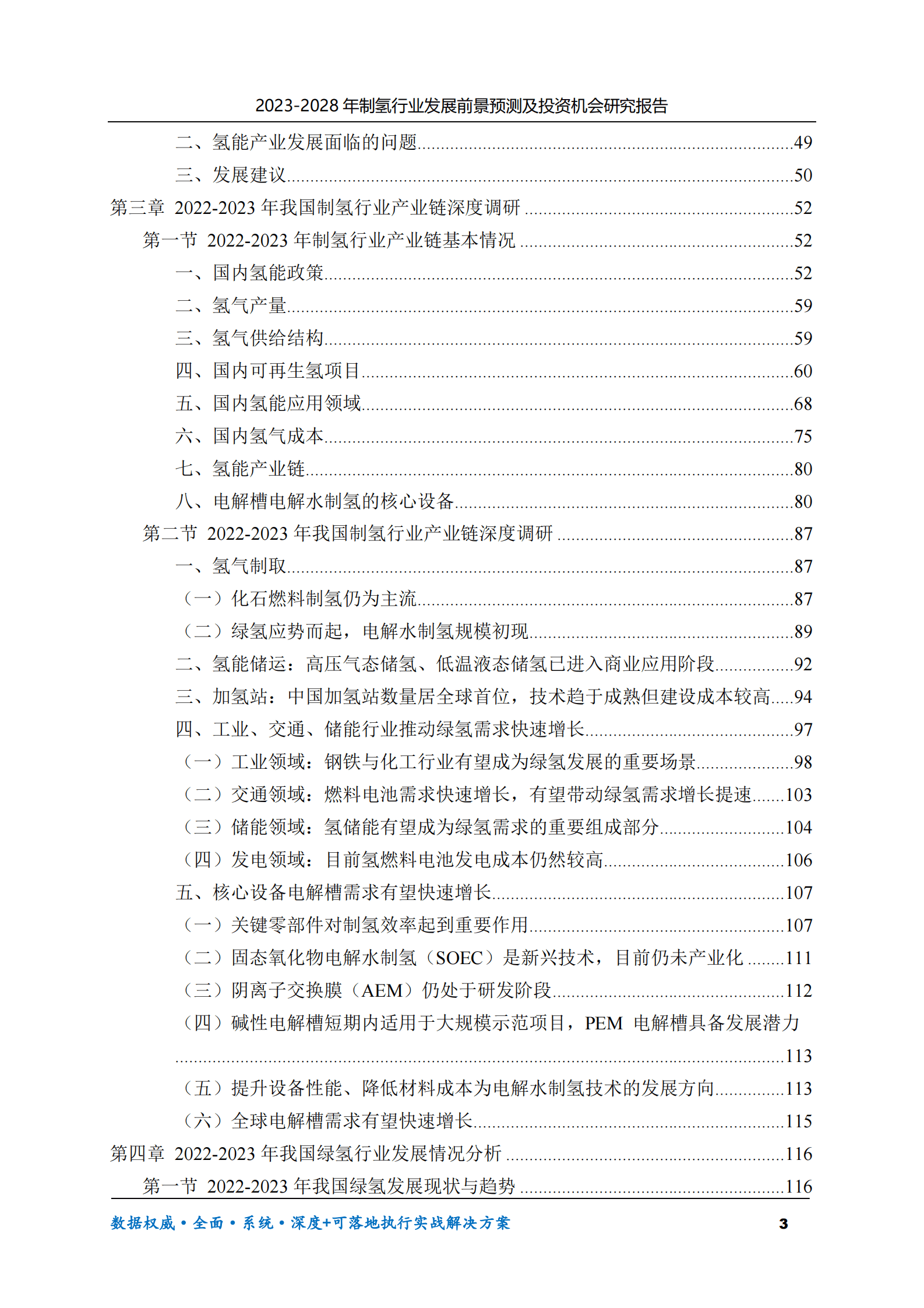2023-2028年制氢行业发展前景预测及投资机会研究报告 第3页