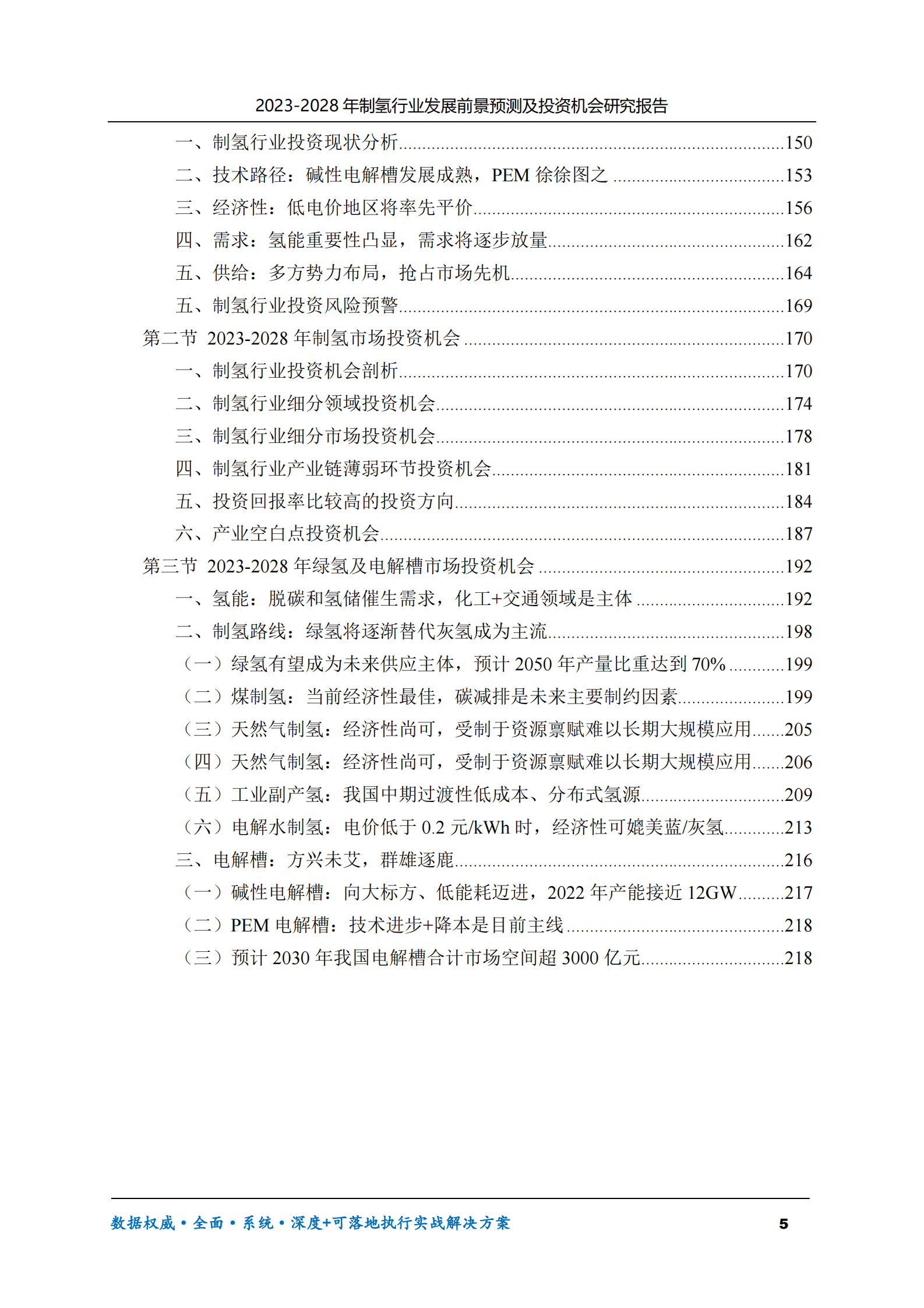 2023-2028年制氢行业发展前景预测及投资机会研究报告 第5页