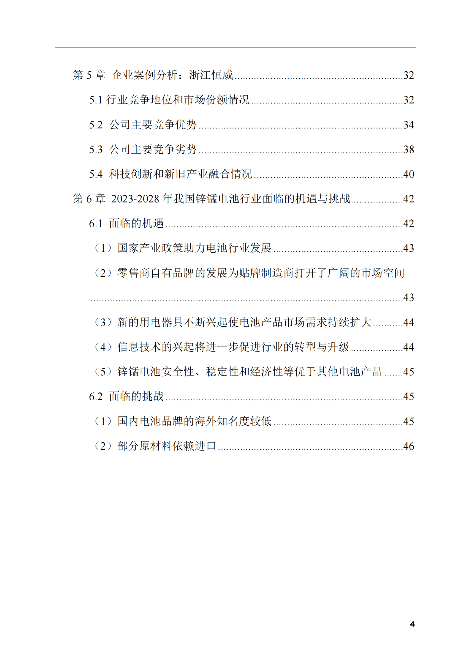 2023-2028年锌锰电池市场现状与前景调研报告 第4页