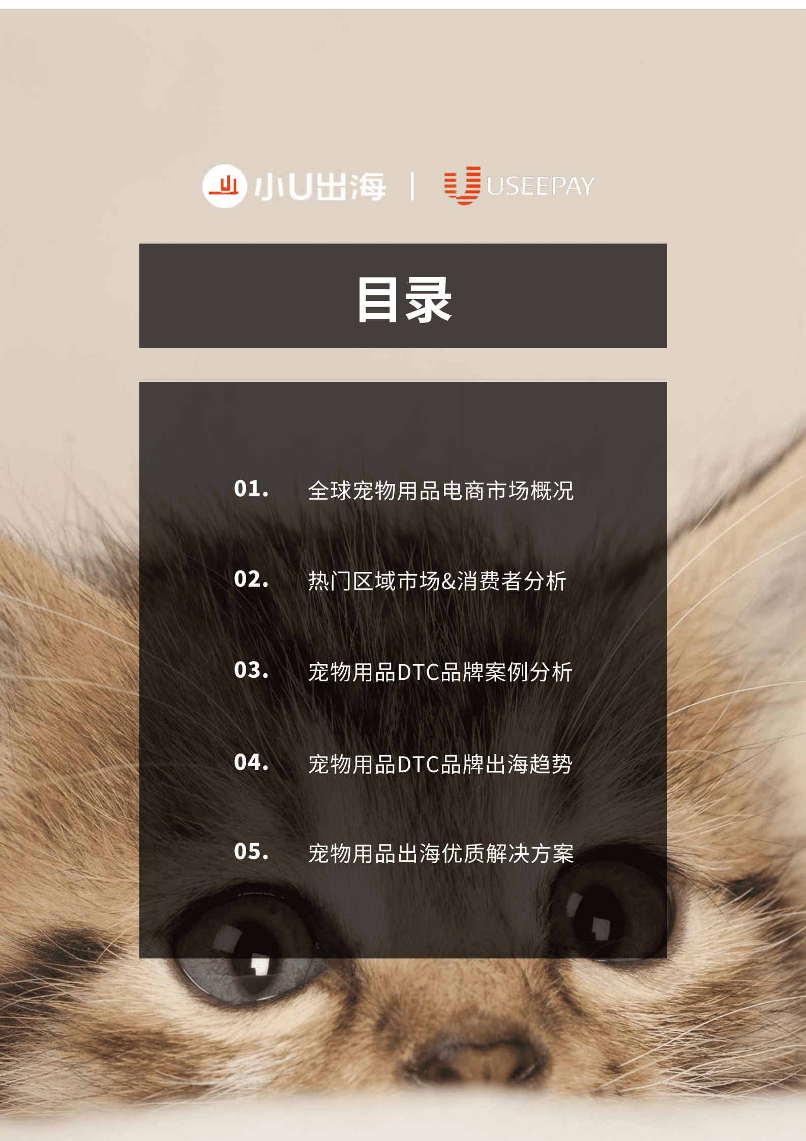 小U出海xUseePay：2023年全球宠物用品电商市场分析报告 第3页