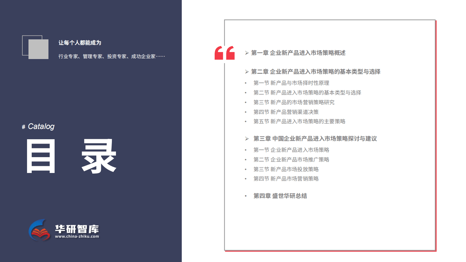 新品征程，策略引领：企业新产品市场进入战略研究报告 第2页