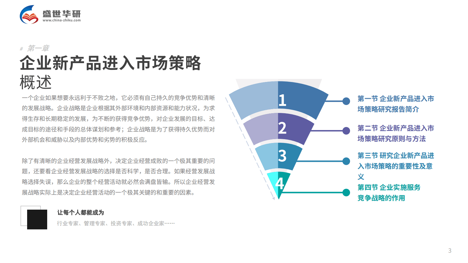 新品征程，策略引领：企业新产品市场进入战略研究报告 第3页