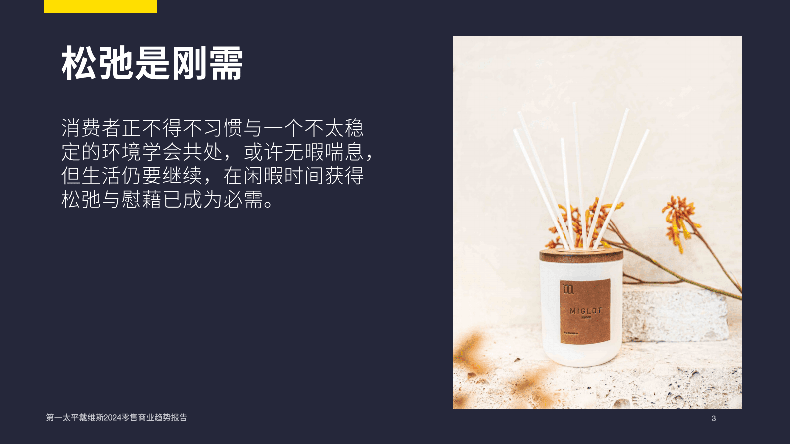 第一太平戴维斯：2024零售商业趋势报告 第3页