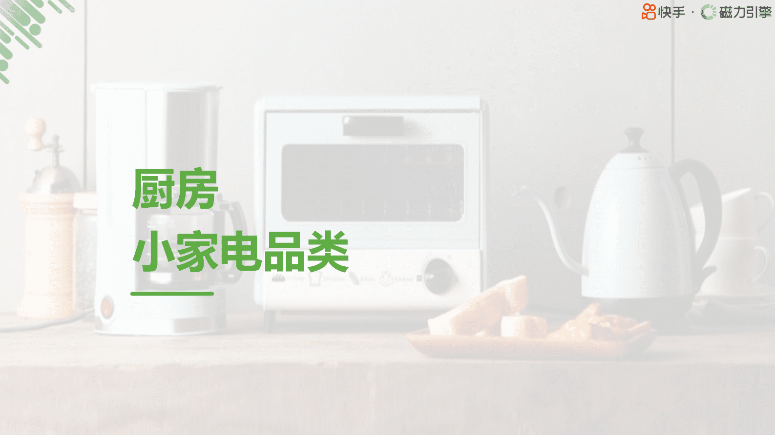 快手：2024行业人群画像小家电类目报告 第5页