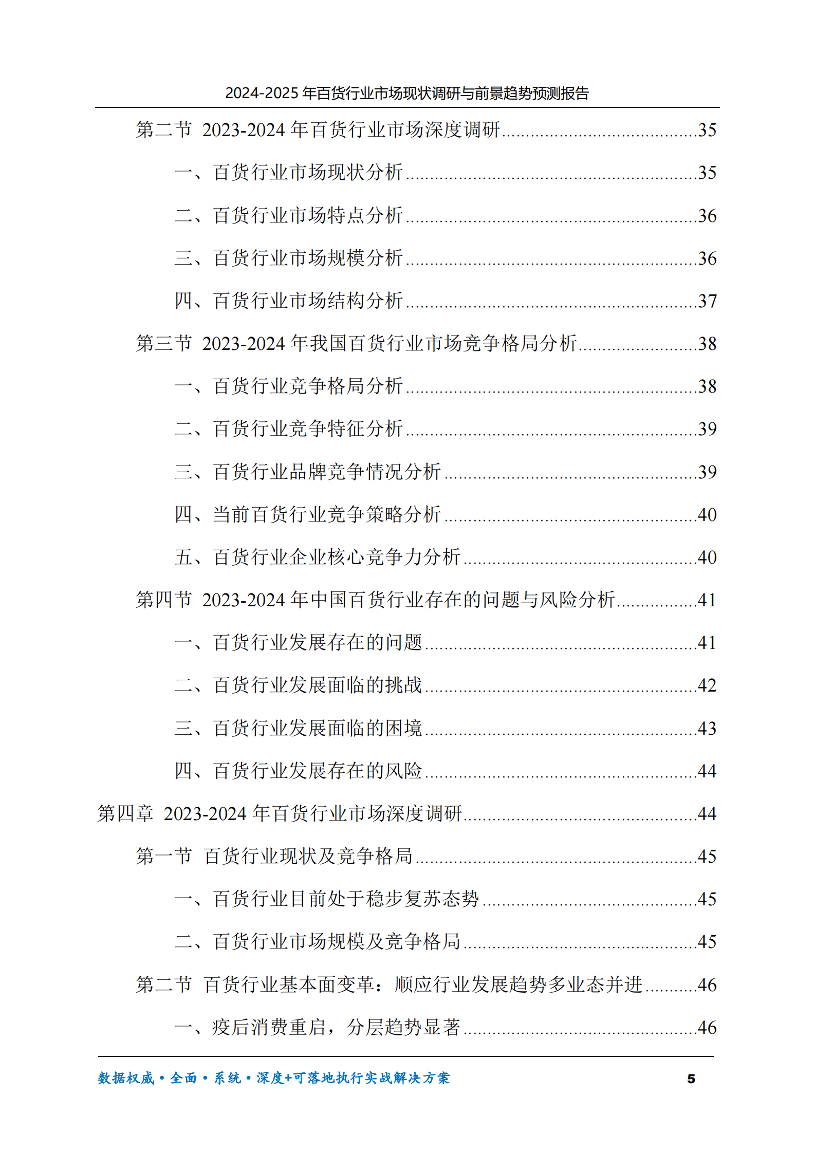 2024-2025年百货市场现状调研及前景趋势预测报告 第5页
