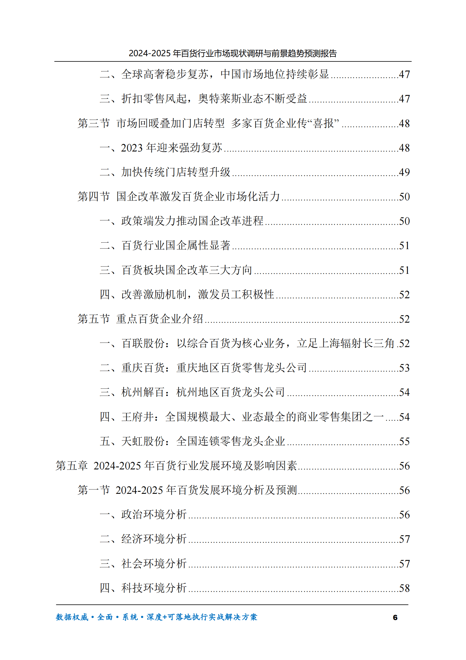 2024-2025年百货市场现状调研及前景趋势预测报告 第6页