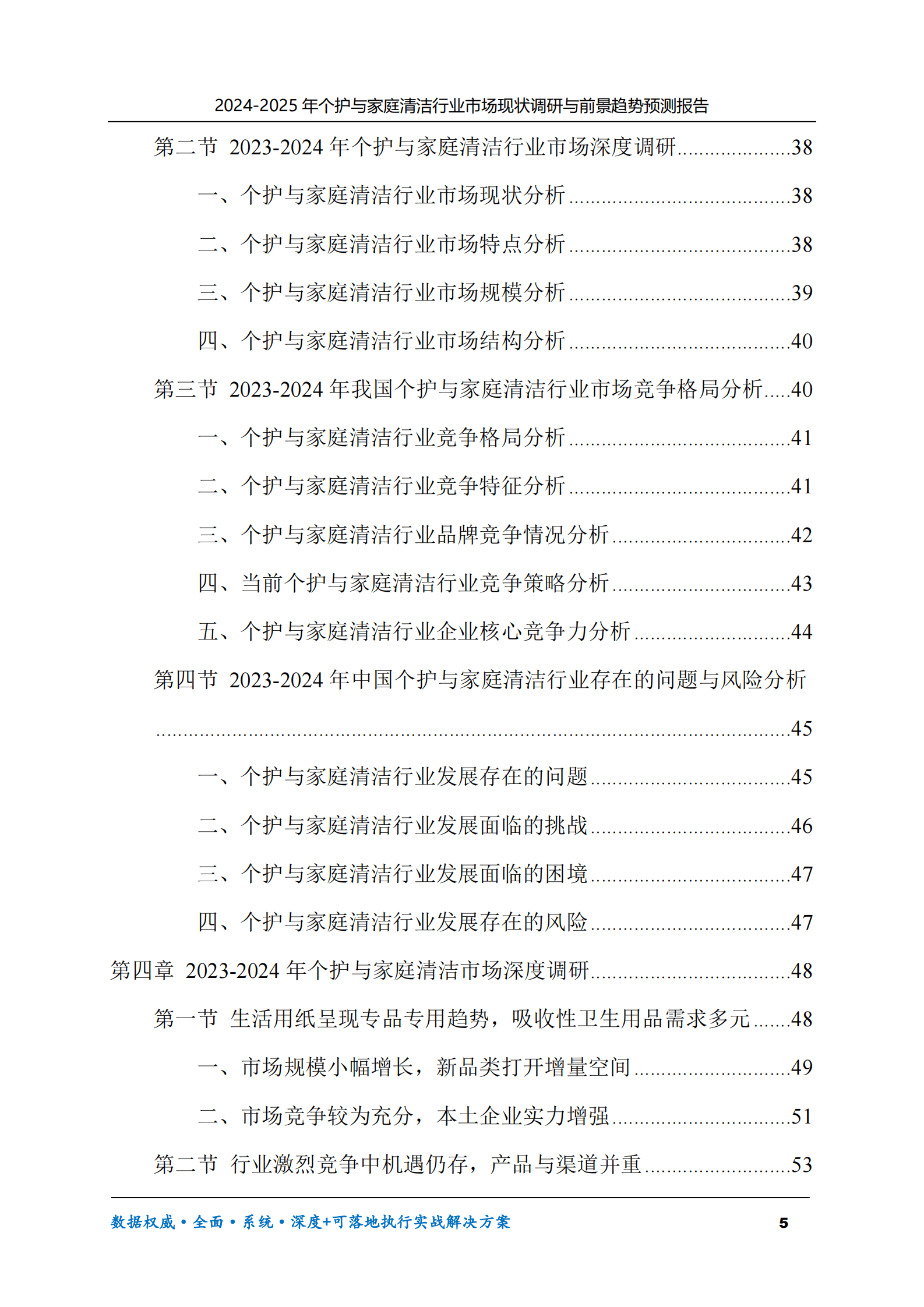 2024-2025年个护与家庭清洁市场现状调研及前景趋势预测报告 第5页