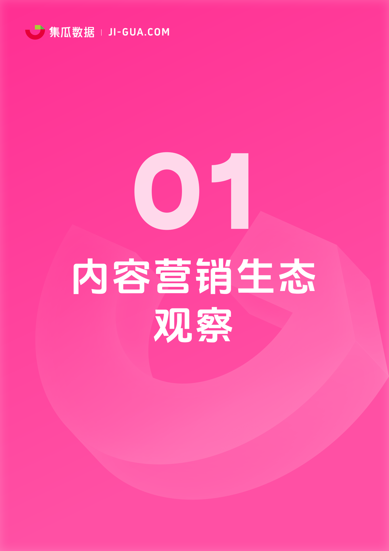 集瓜数据：2024社交媒体营销趋势观察报告 第4页