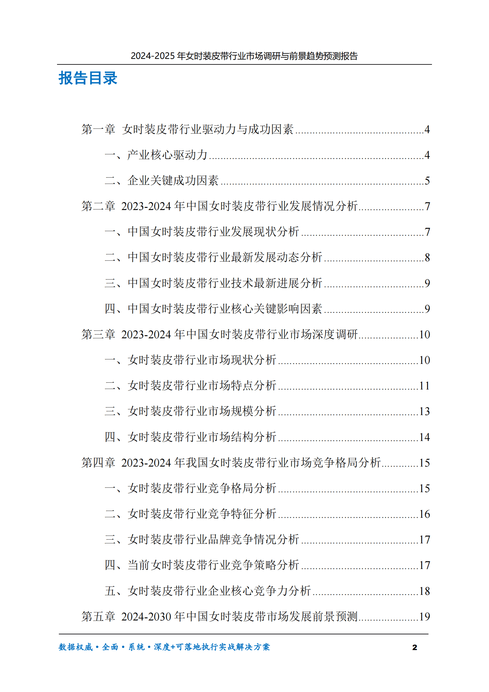 2024-2030年女时装皮带行业市场调研及前景趋势预测报告 第2页