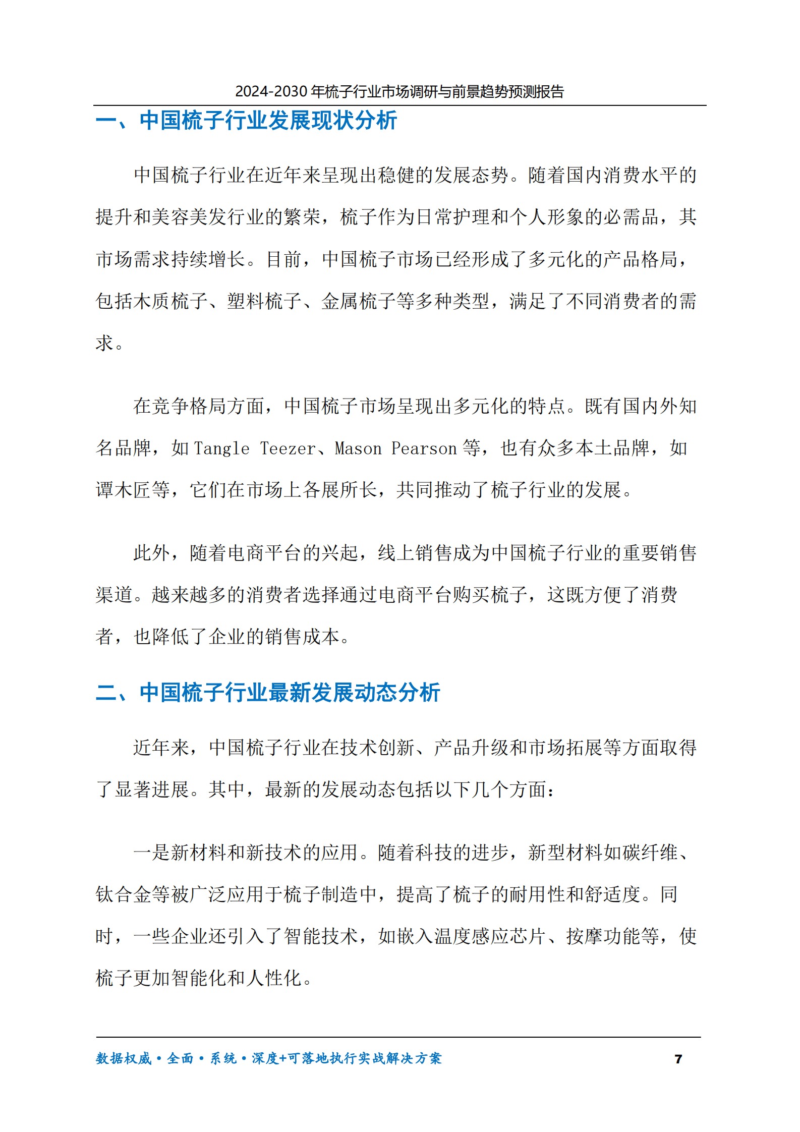 2024-2030年梳子行业市场调研及前景趋势预测报告 第7页