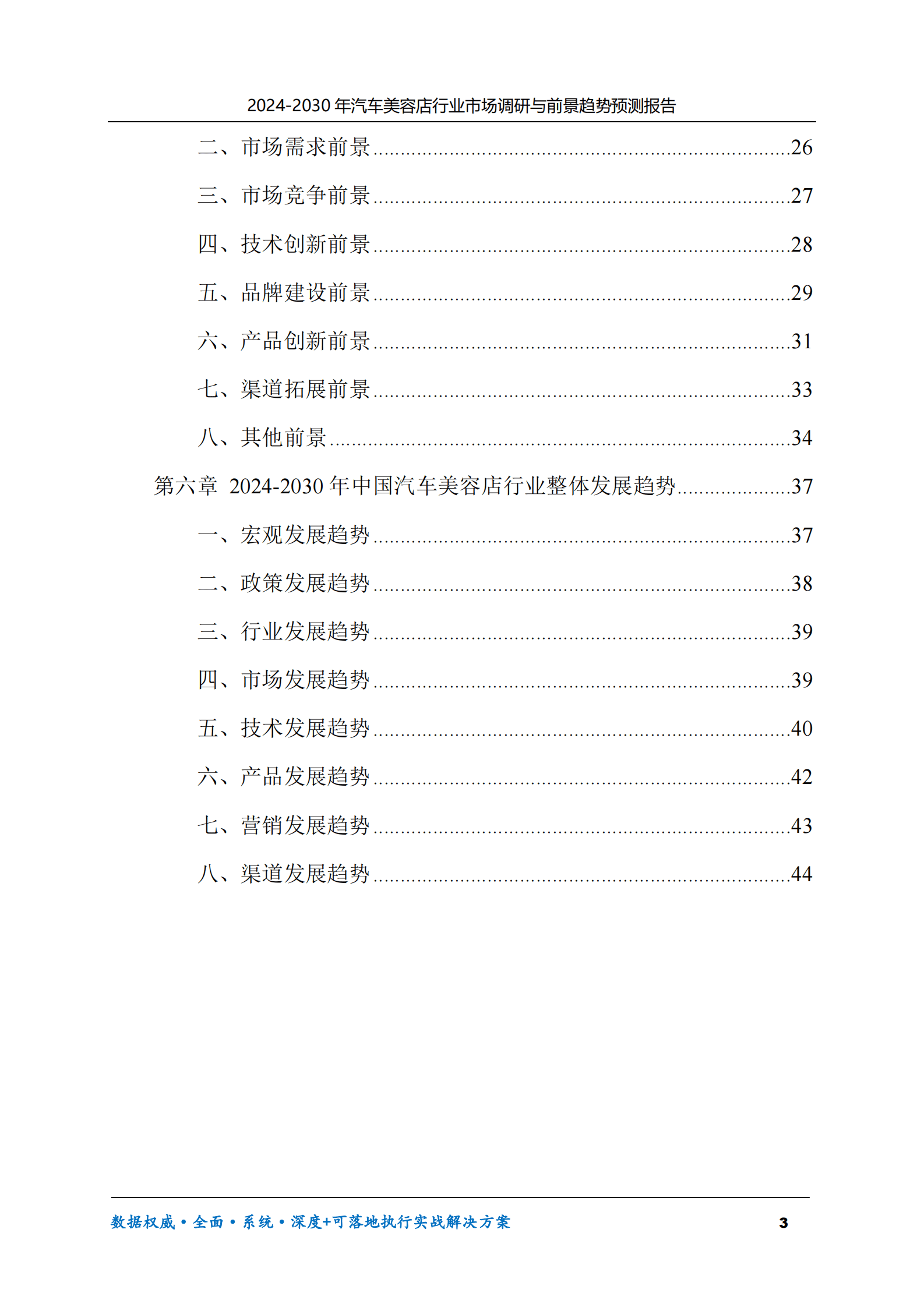 2024-2030年汽车美容店行业市场调研及前景趋势预测报告 第3页