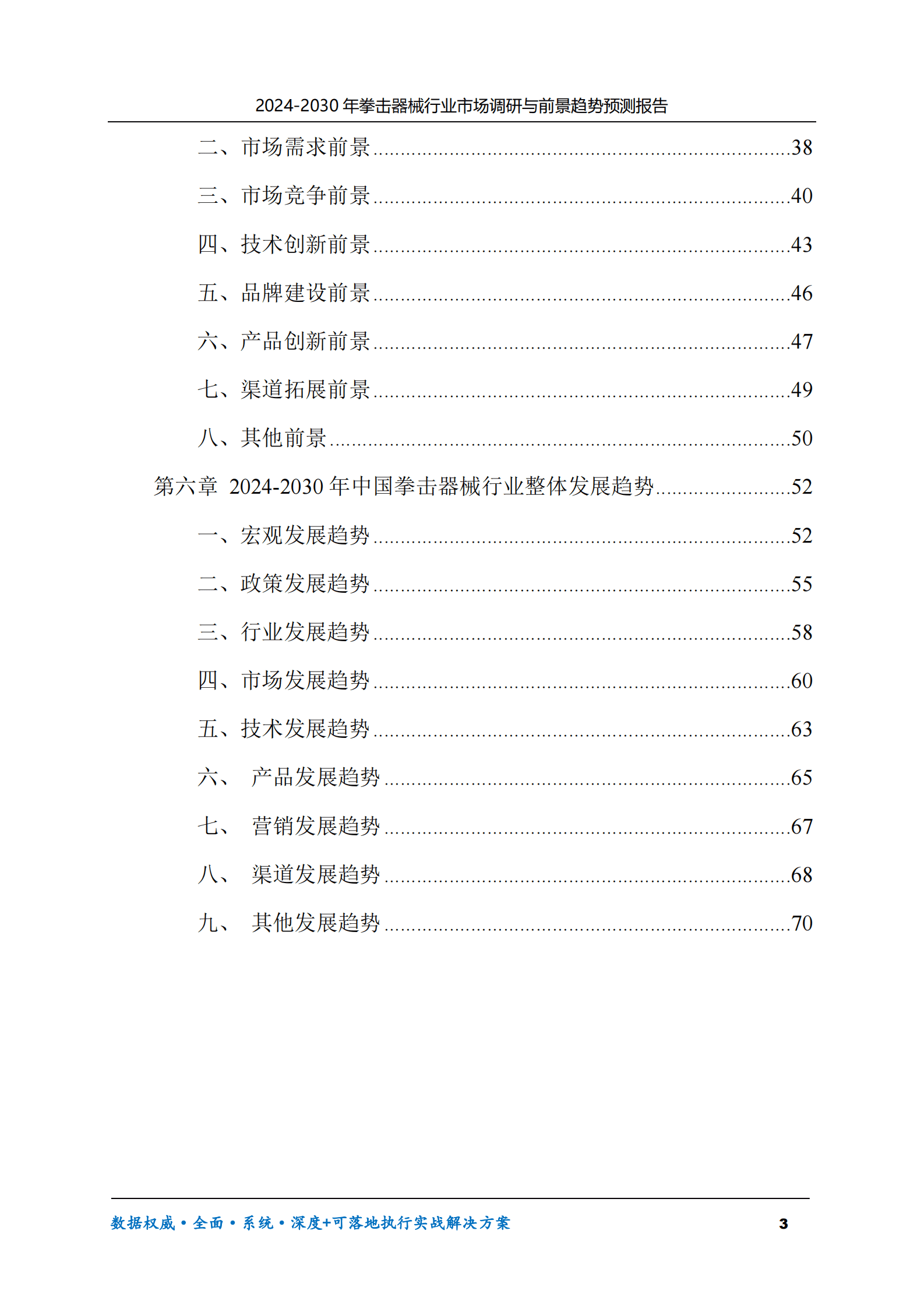2024-2030年拳击器械行业市场调研及前景趋势预测报告 第3页