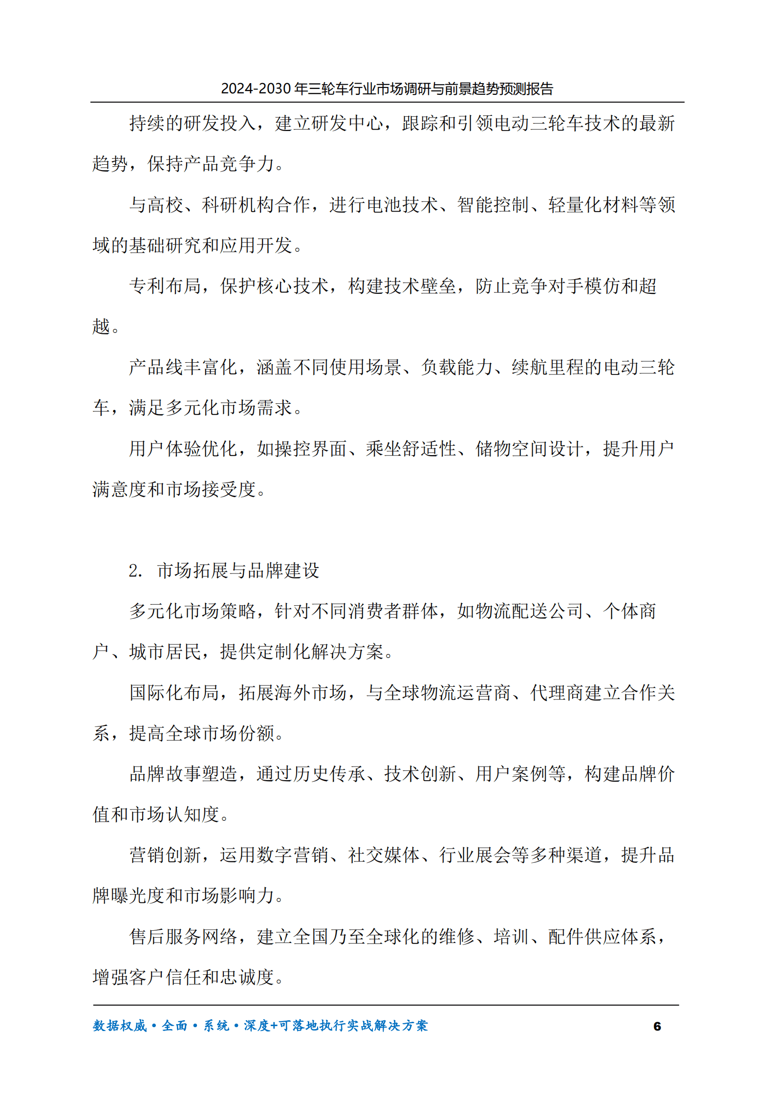 2024-2030年三轮车行业市场调研及前景趋势预测报告 第6页