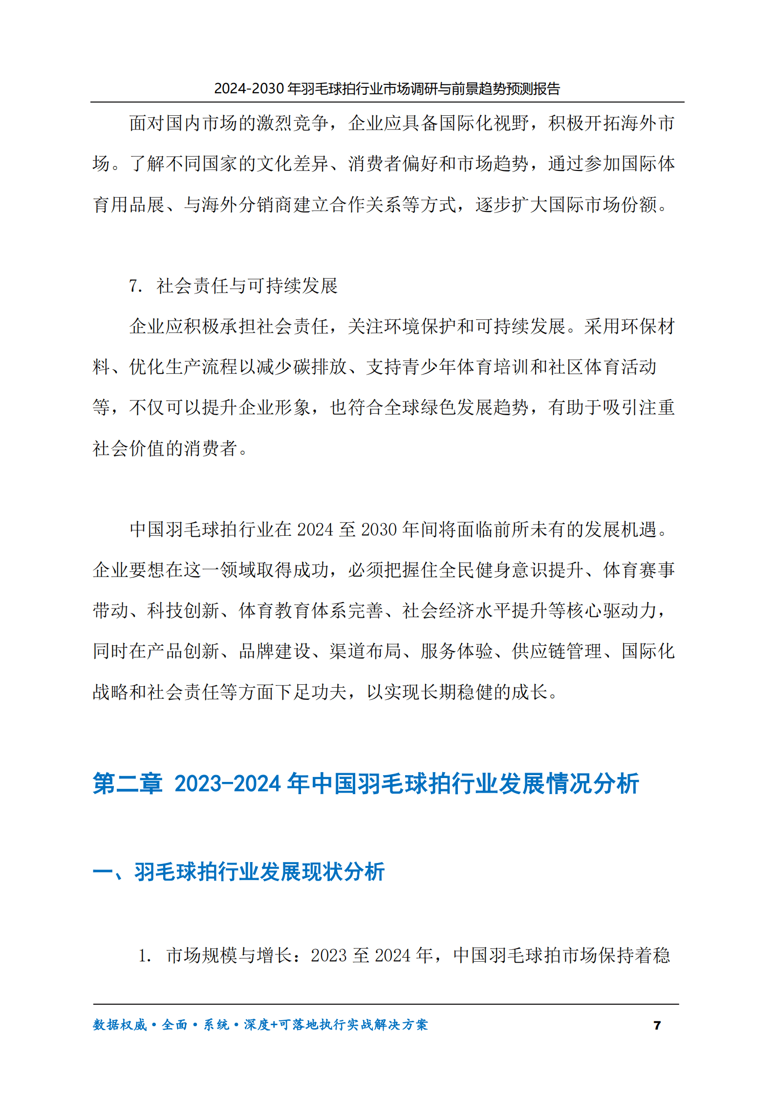 2024-2030年羽毛球拍行业市场调研及前景趋势预测报告 第7页