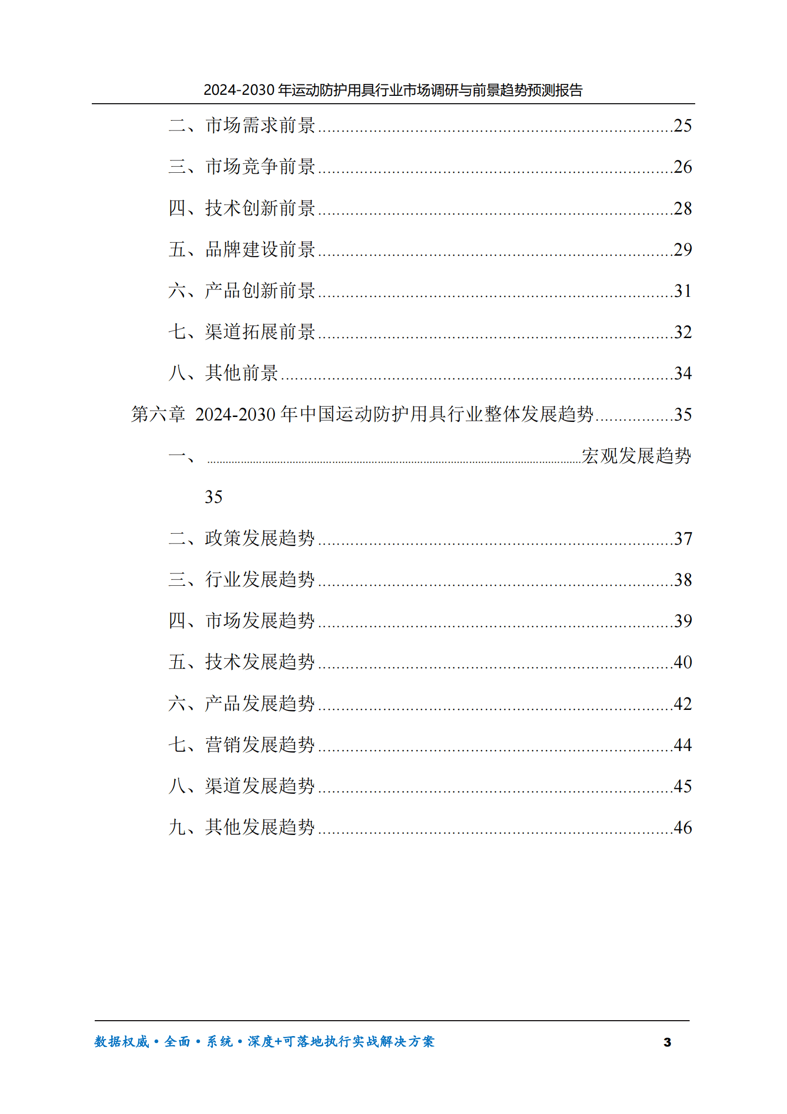 2024-2030年运动防护用具行业市场调研及前景趋势预测报告 第3页