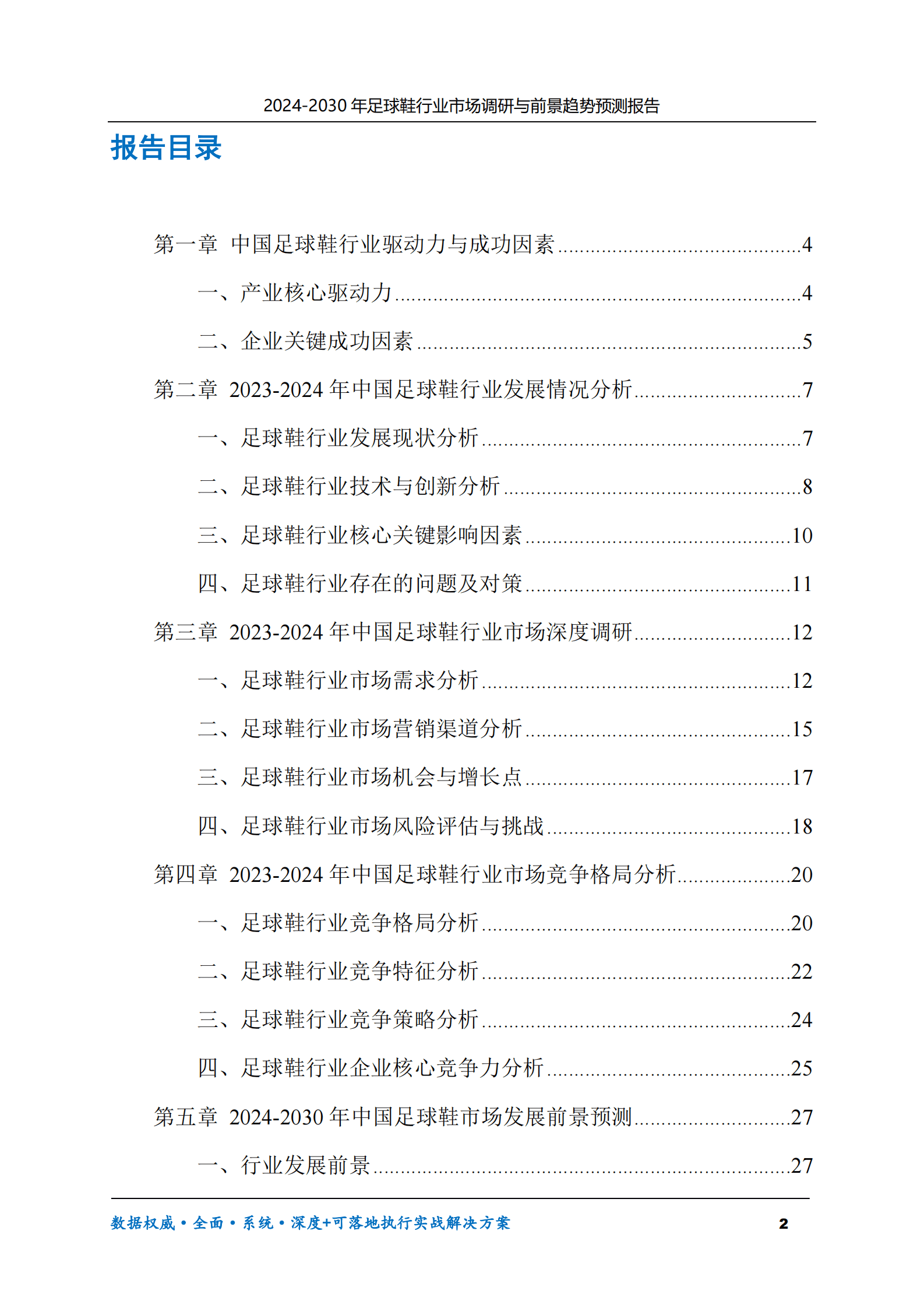 2024-2030年足球鞋行业市场调研及前景趋势预测报告 第2页