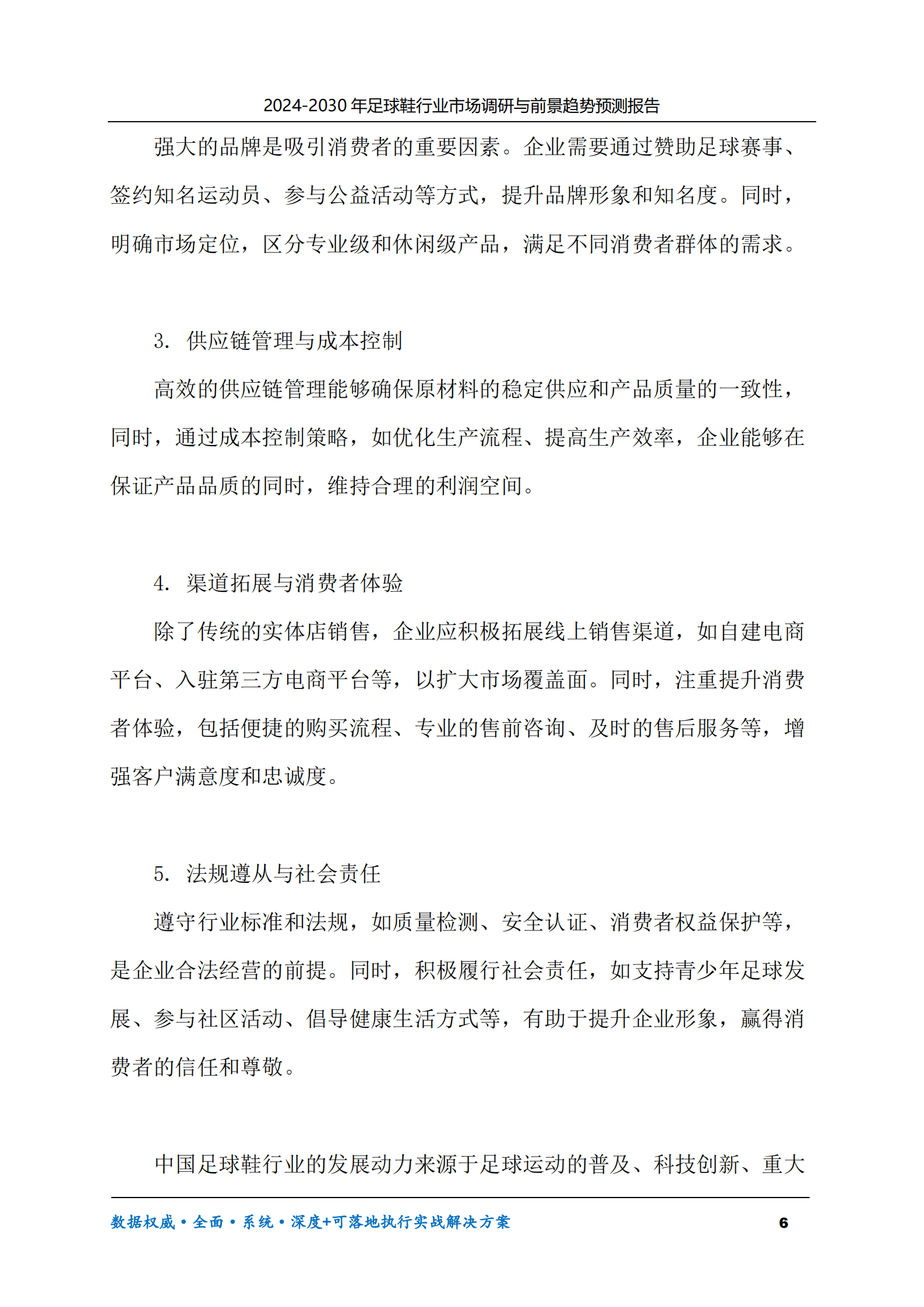 2024-2030年足球鞋行业市场调研及前景趋势预测报告 第6页