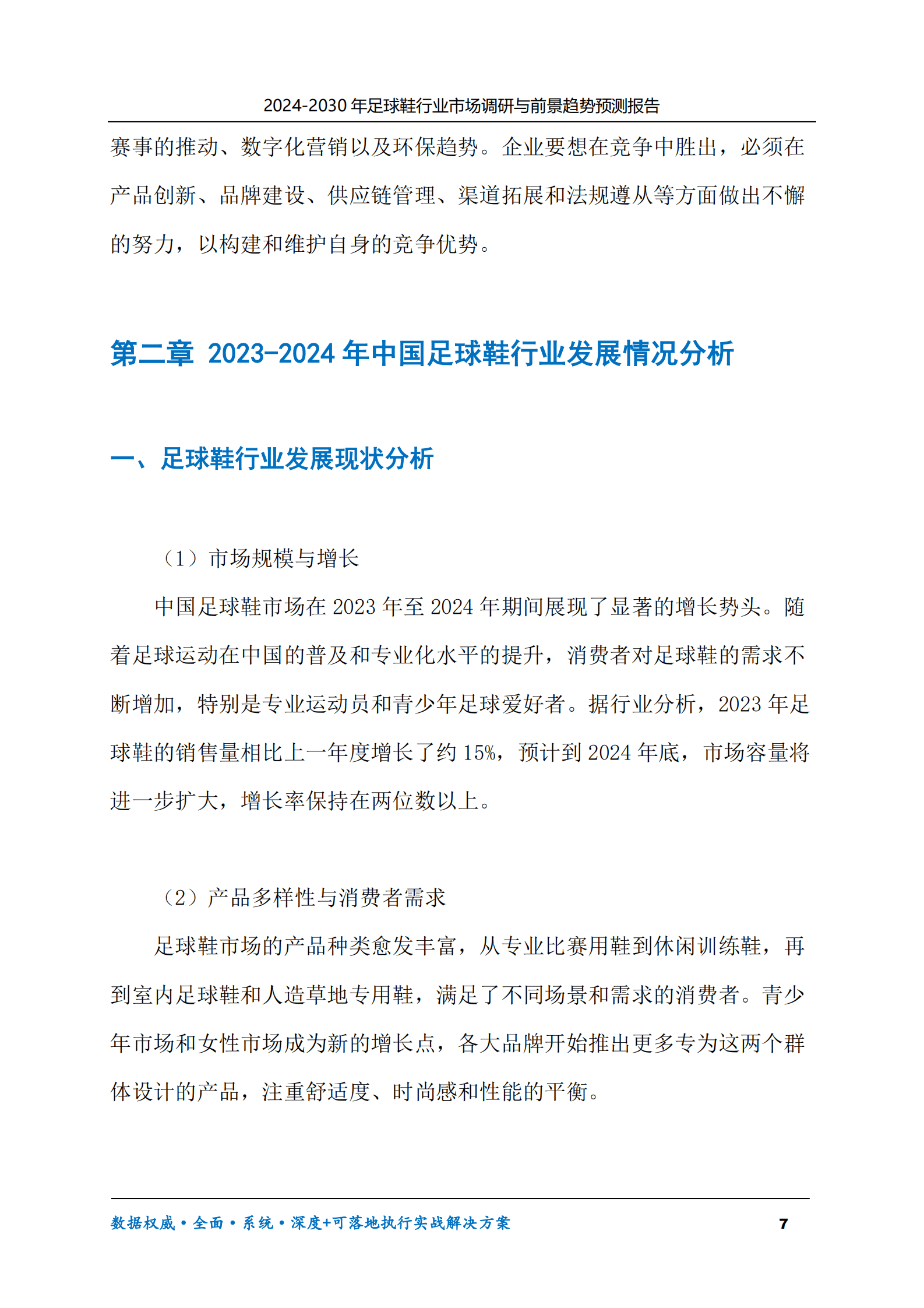 2024-2030年足球鞋行业市场调研及前景趋势预测报告 第7页
